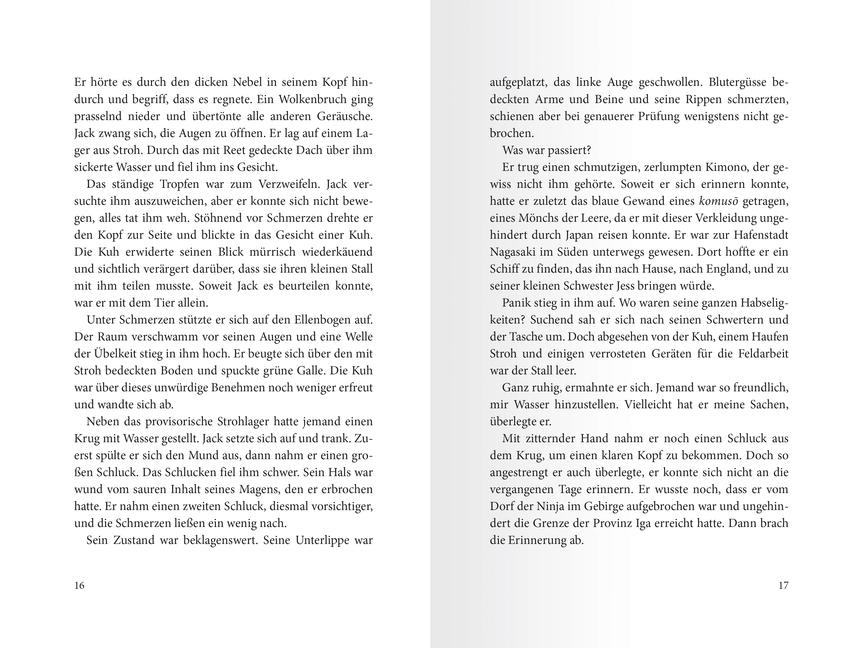 Beispielinhalt (Bild) Samurai, Band 5: Der Ring des Wassers