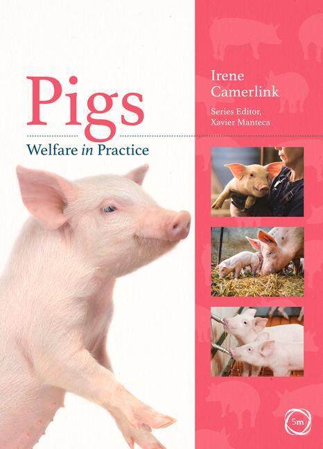 Vorderes Coverbild Pigs Welfare in Practice