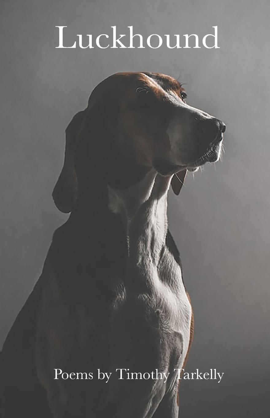 Vorderes Coverbild Luckhound