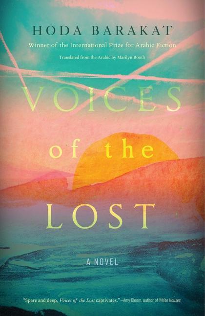 Vorderes Coverbild Voices of the Lost