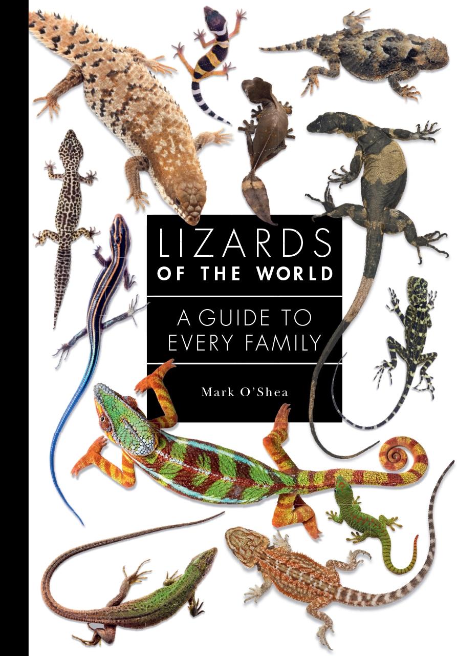 Vorderes Coverbild Lizards of the World