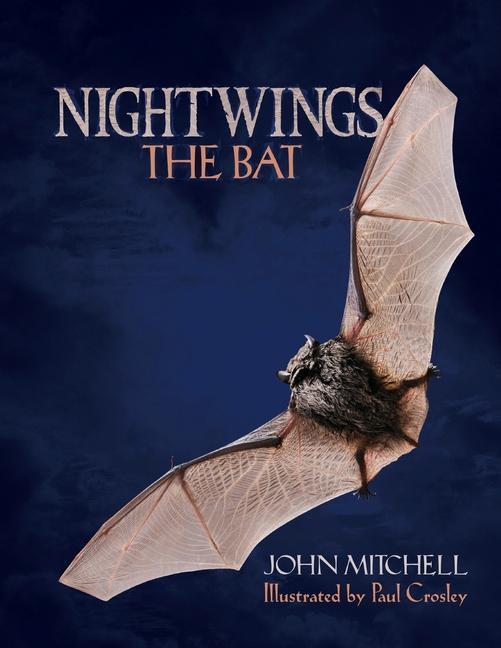 Vorderes Coverbild Nightwings The Bat