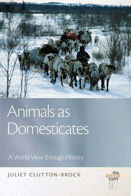 Vorderes Coverbild Animals as Domesticates