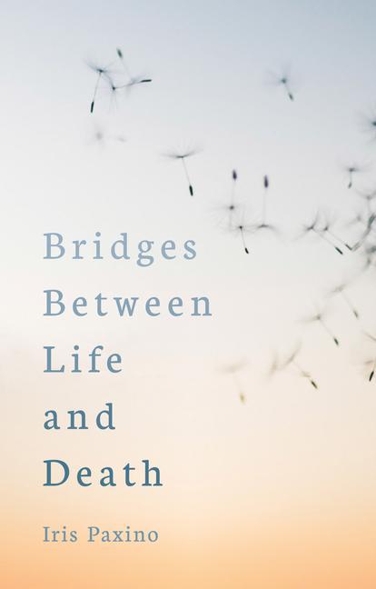 Vorderes Coverbild Bridges Between Life and Death