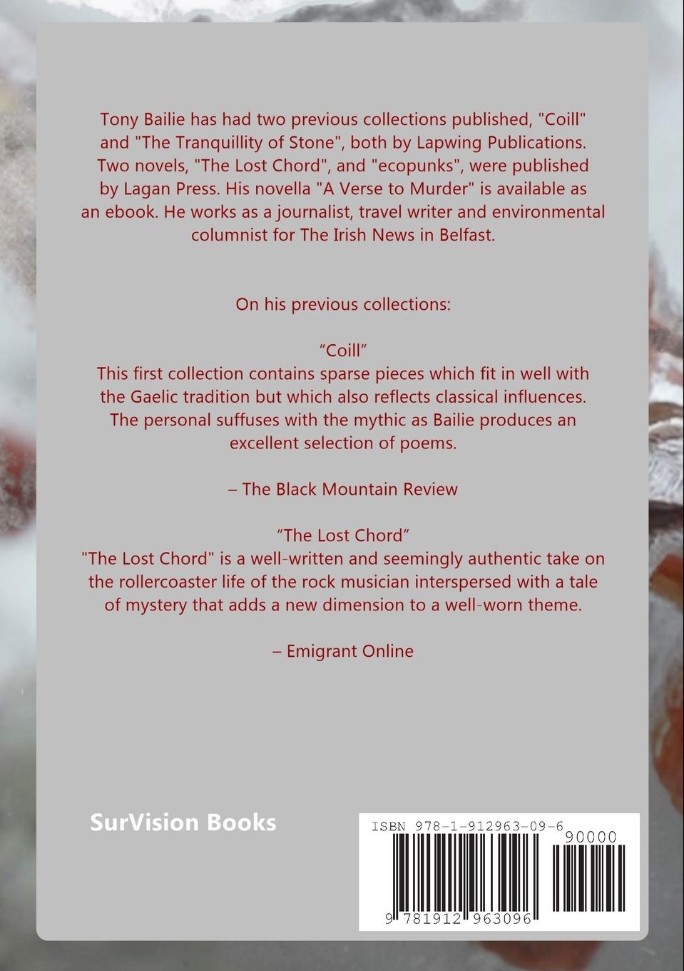 Rückseitencover Mountain Under Heaven