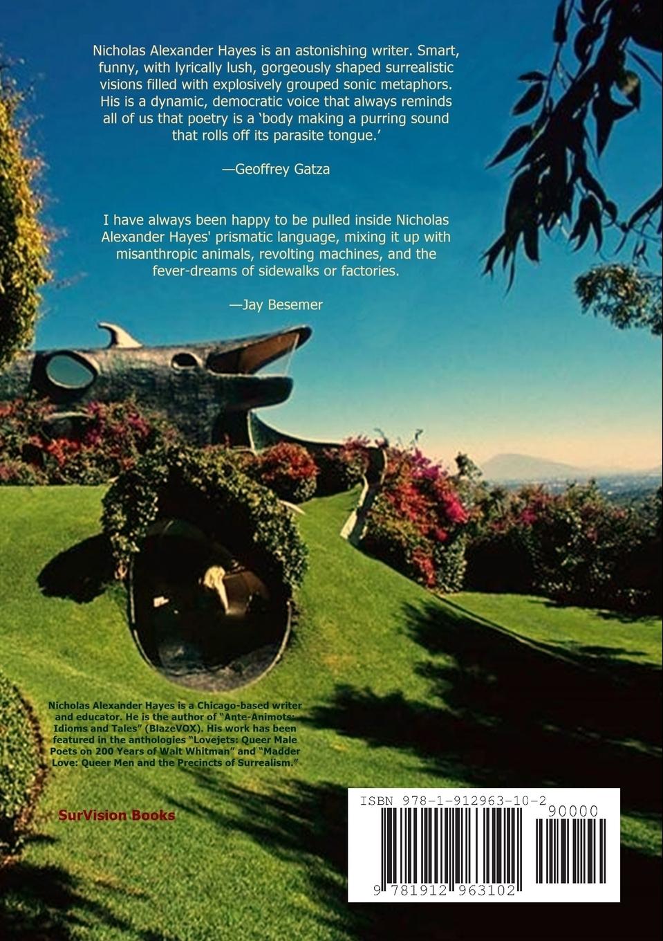 Rückseitencover Amorphous Organics