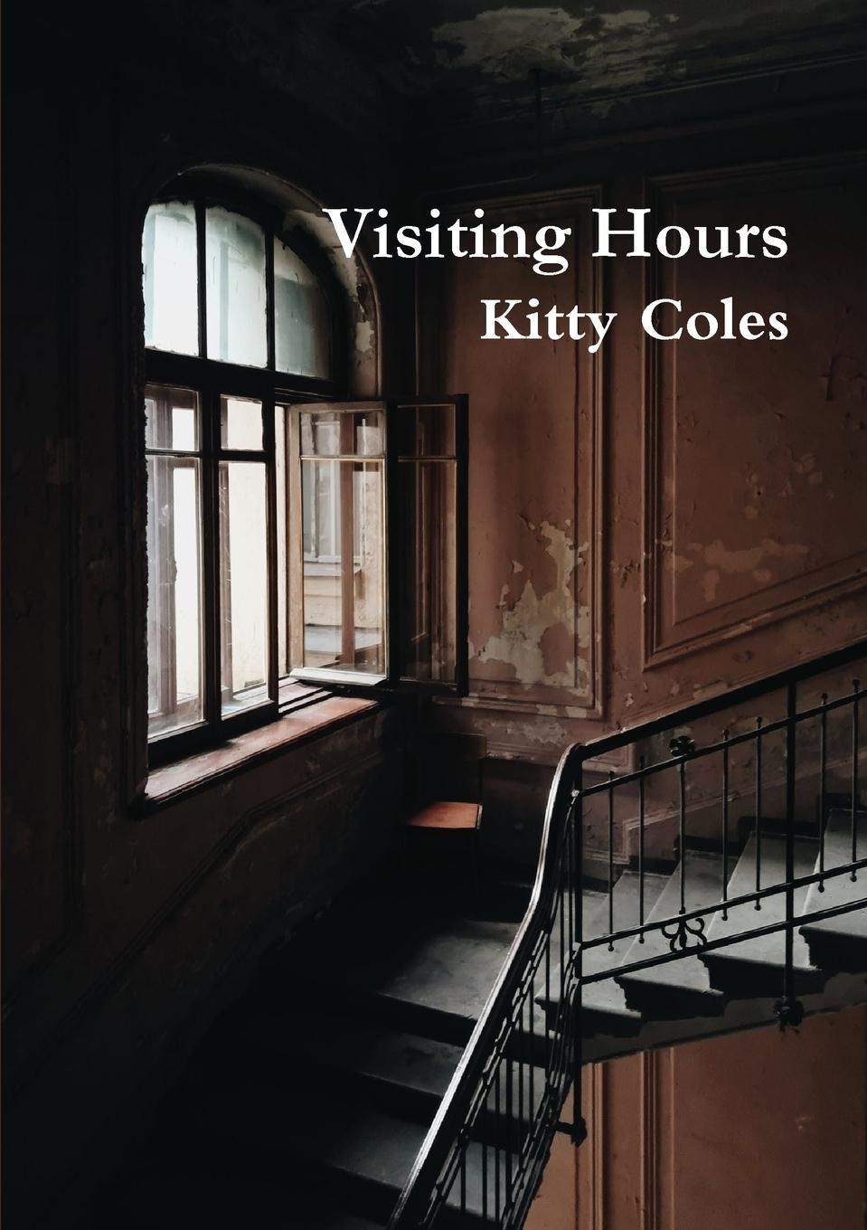 Vorderes Coverbild Visiting Hours