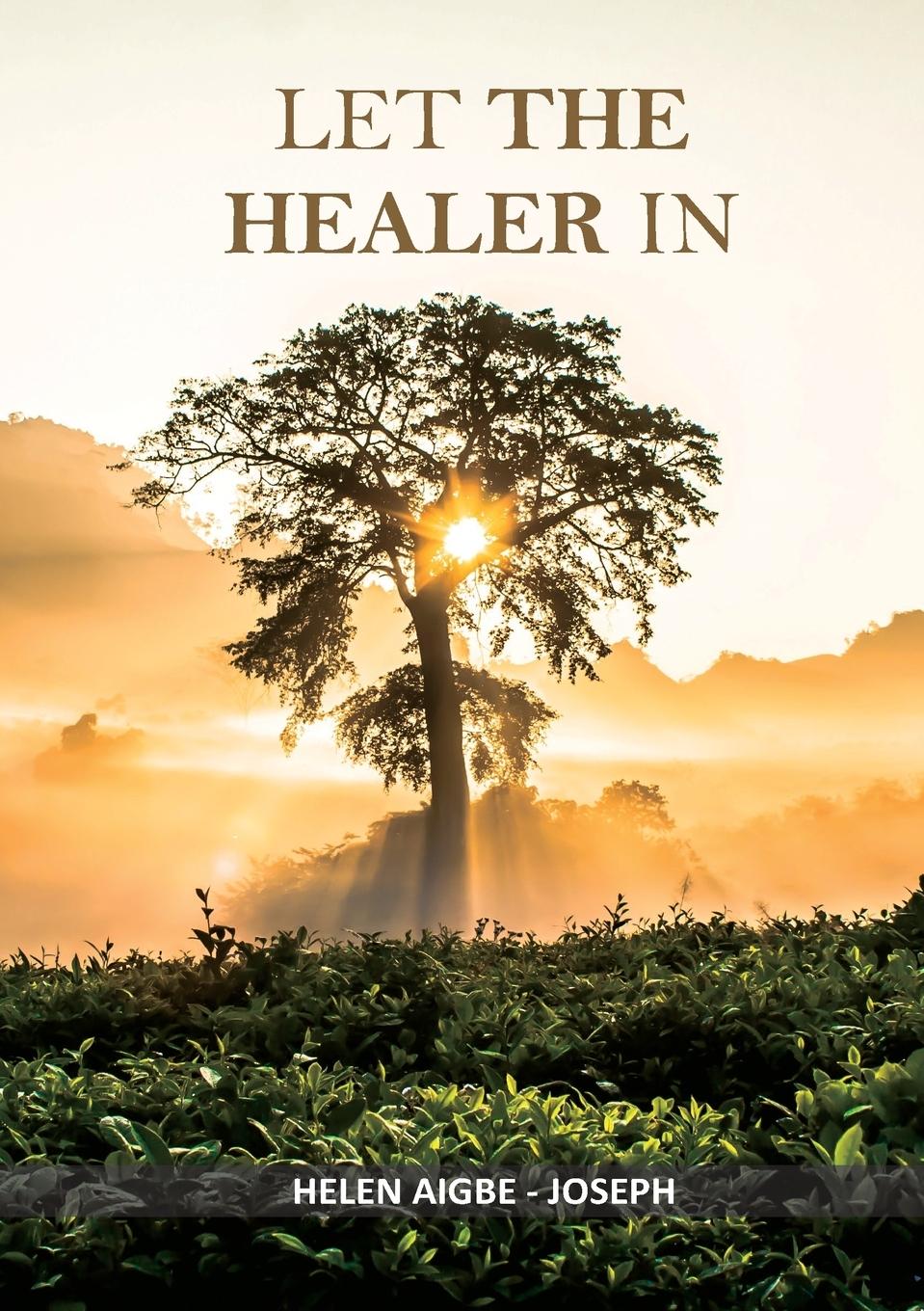 Vorderes Coverbild LET THE HEALER IN