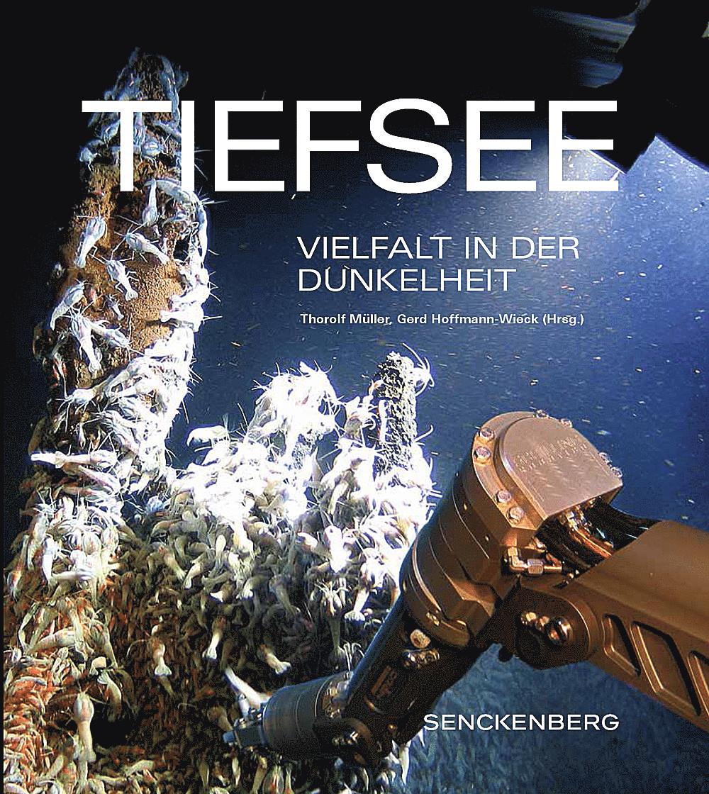 Vorderes Coverbild Tiefsee