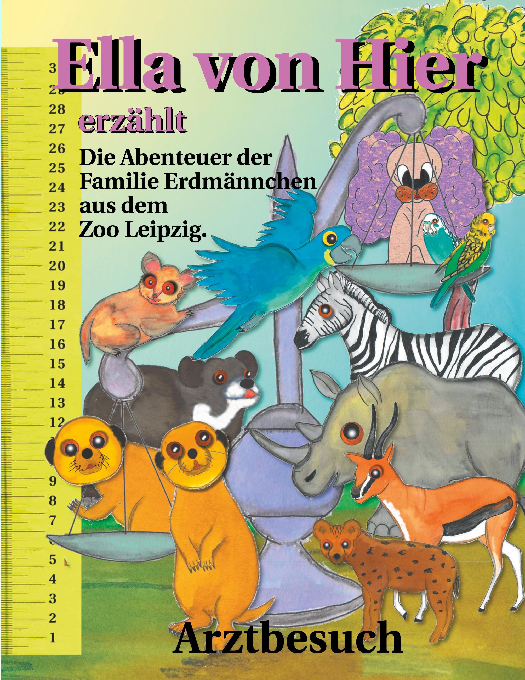 Vorderes Coverbild Ella von Hier erzählt