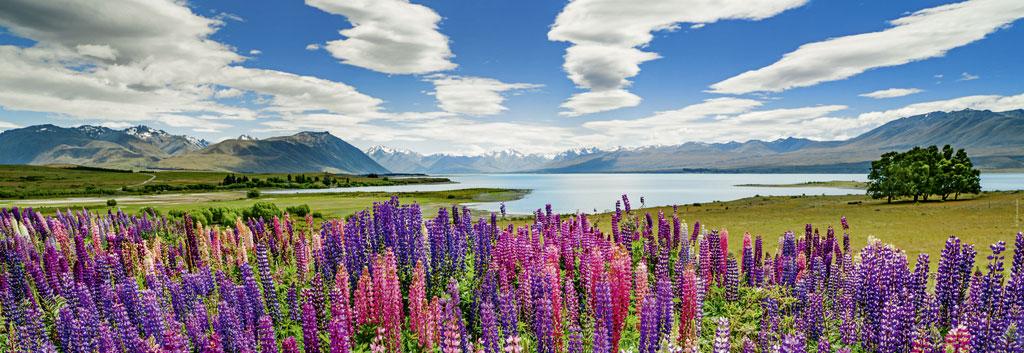 Beispielinhalt (Bild) Lake Tekapo. Puzzle 1000 Teile