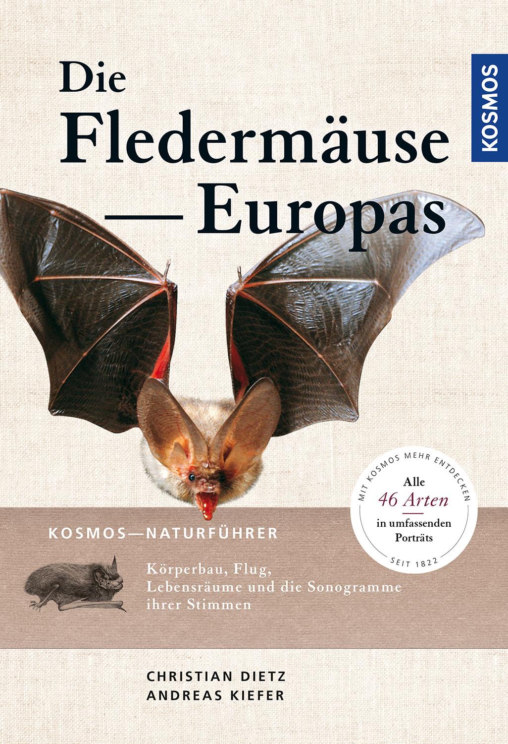 Vorderes Coverbild Naturführer Fledermäuse Europas