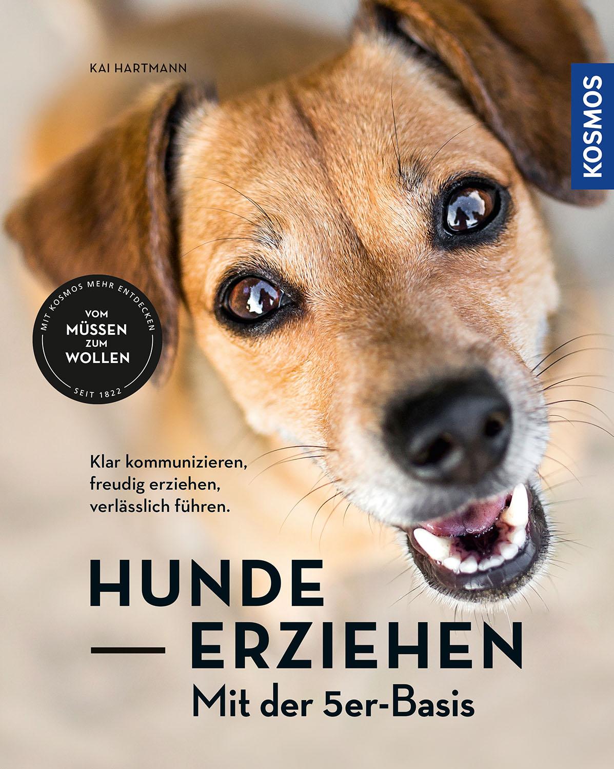 Vorderes Coverbild Hunde erziehen - mit der 5er-Basis