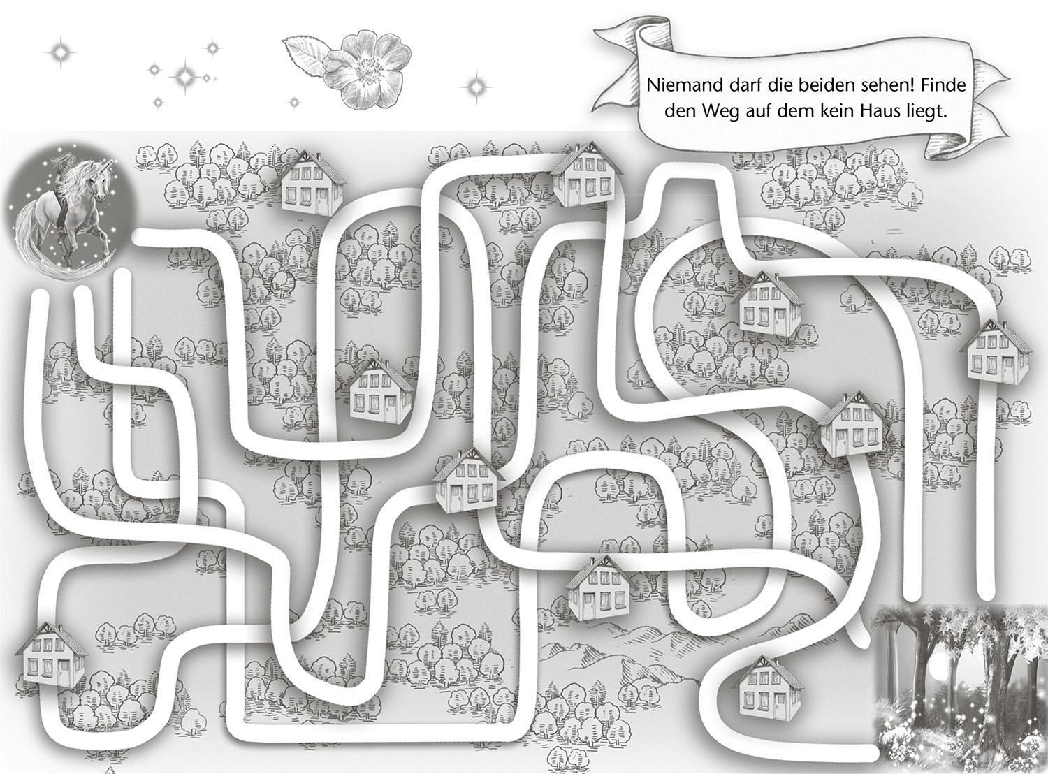 Beispielinhalt (Bild) Sternenschweif, Das Buch der Freundschaft