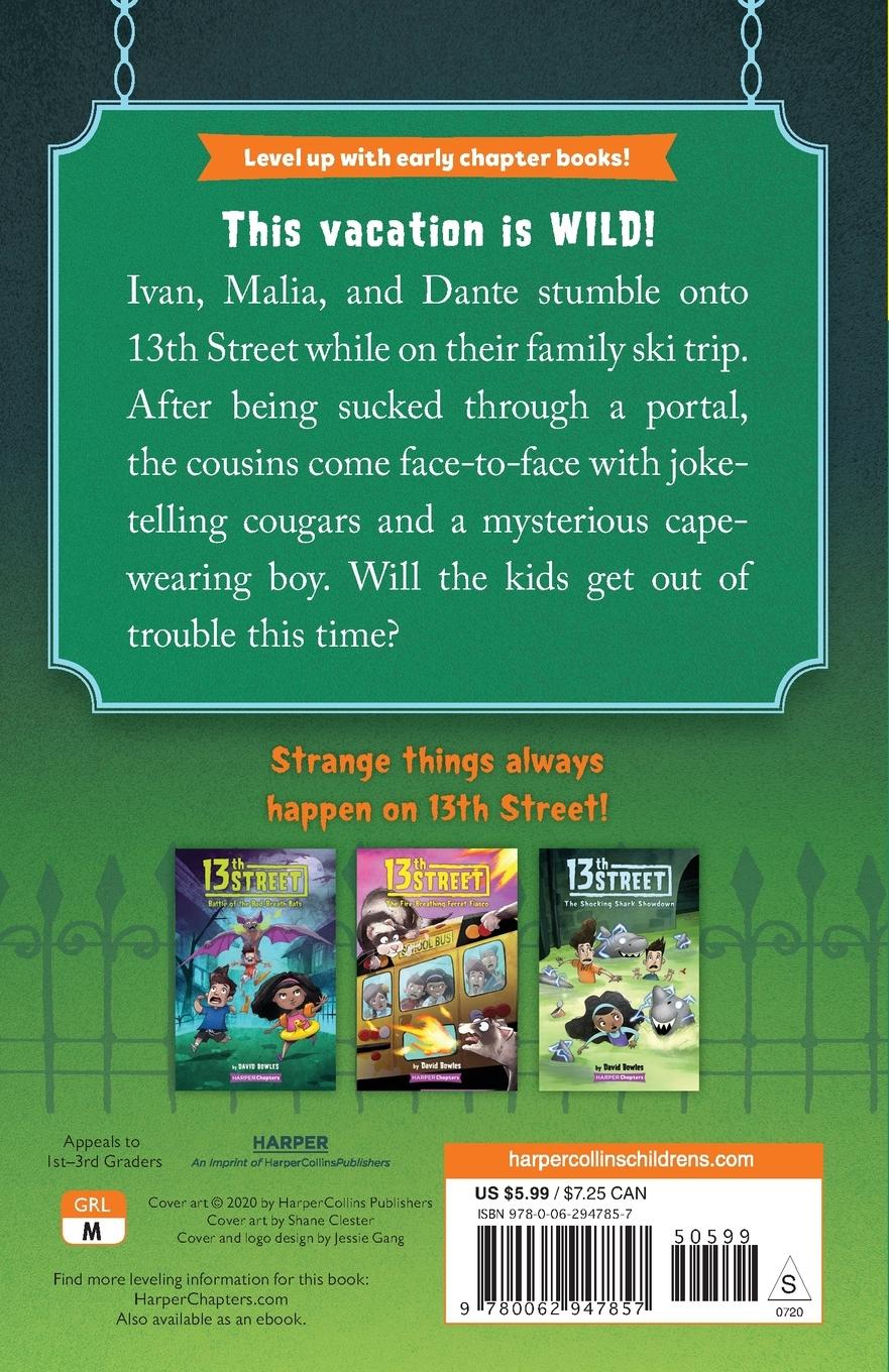 Rückseitencover 13th Street #3