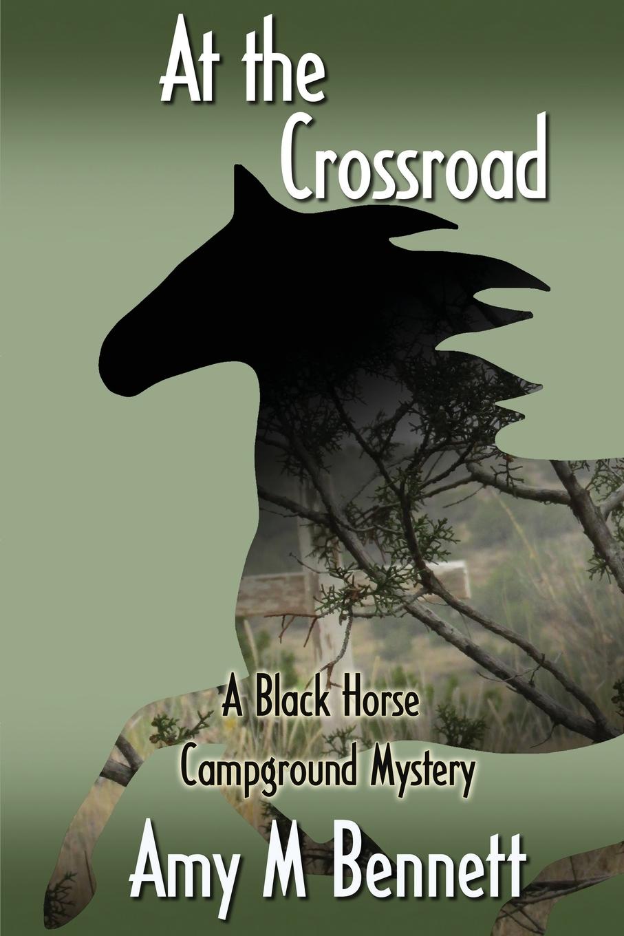 Vorderes Coverbild At the Crossroads