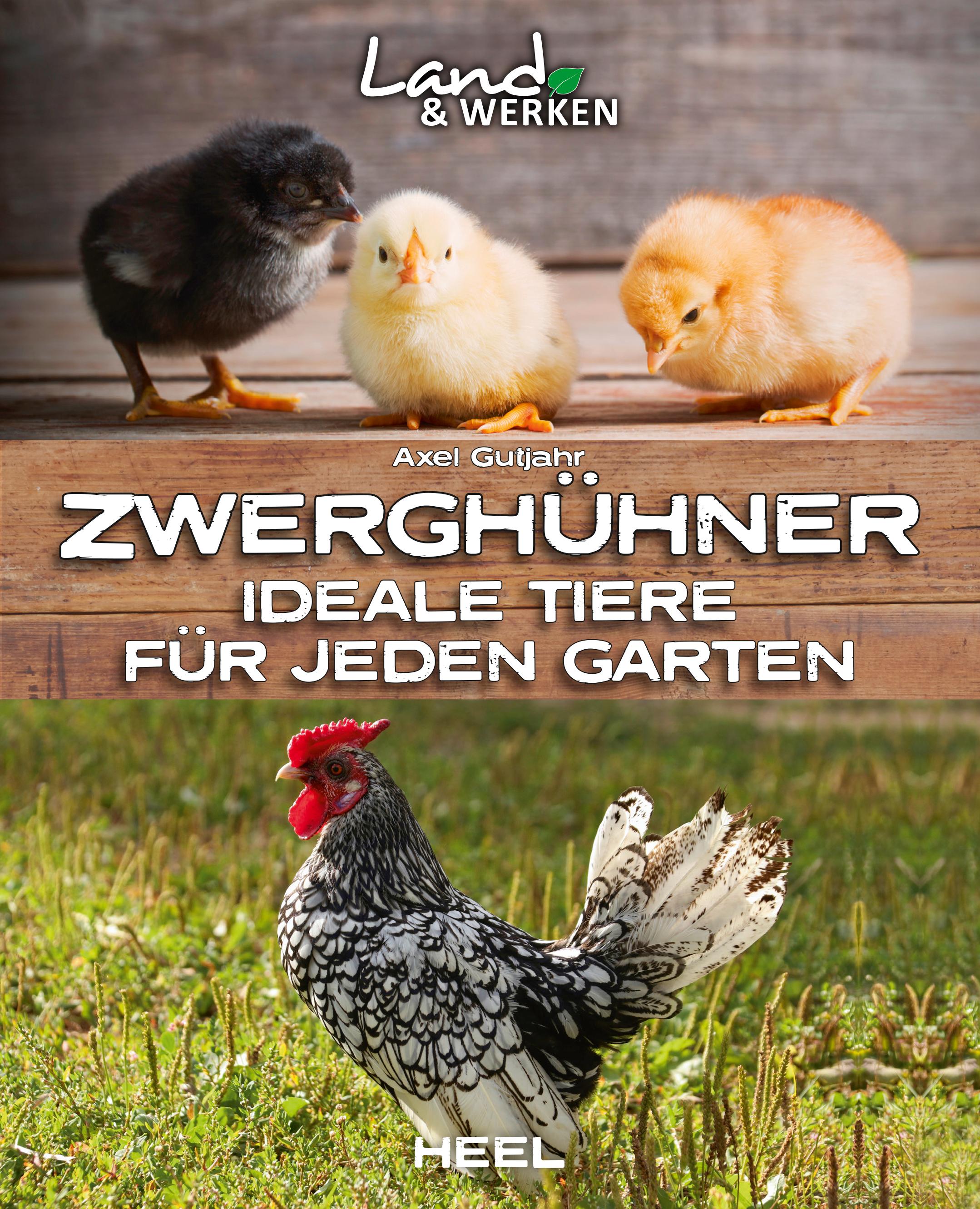 Vorderes Coverbild Zwerghühner: Ideale Tiere für jeden Garten
