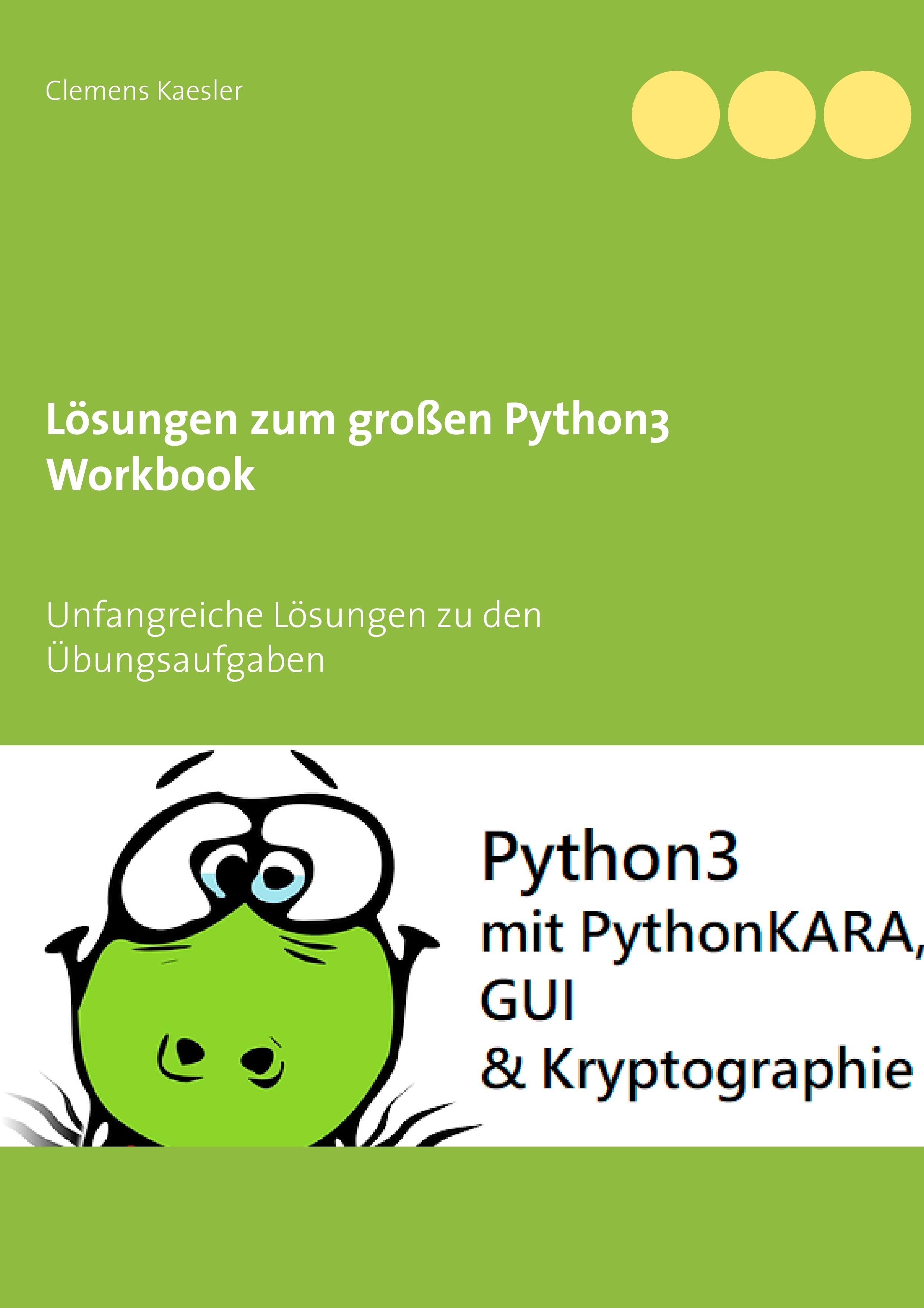 Vorderes Coverbild Lösungen zum großen Python3 Workbook