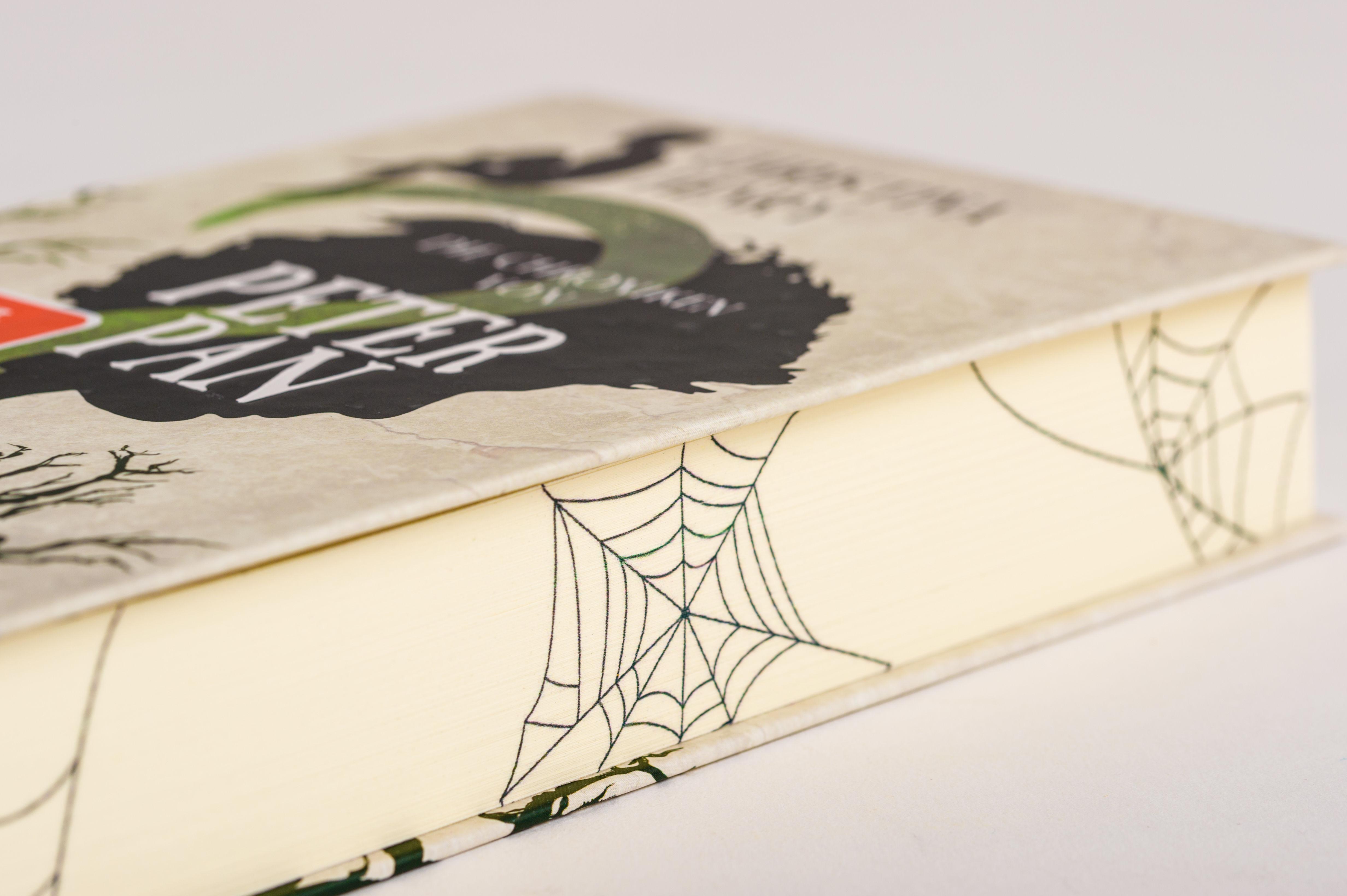 Beispielinhalt (Bild) Die Chroniken von Peter Pan - Albtraum im Nimmerland