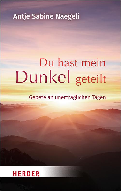 Vorderes Coverbild Du hast mein Dunkel geteilt