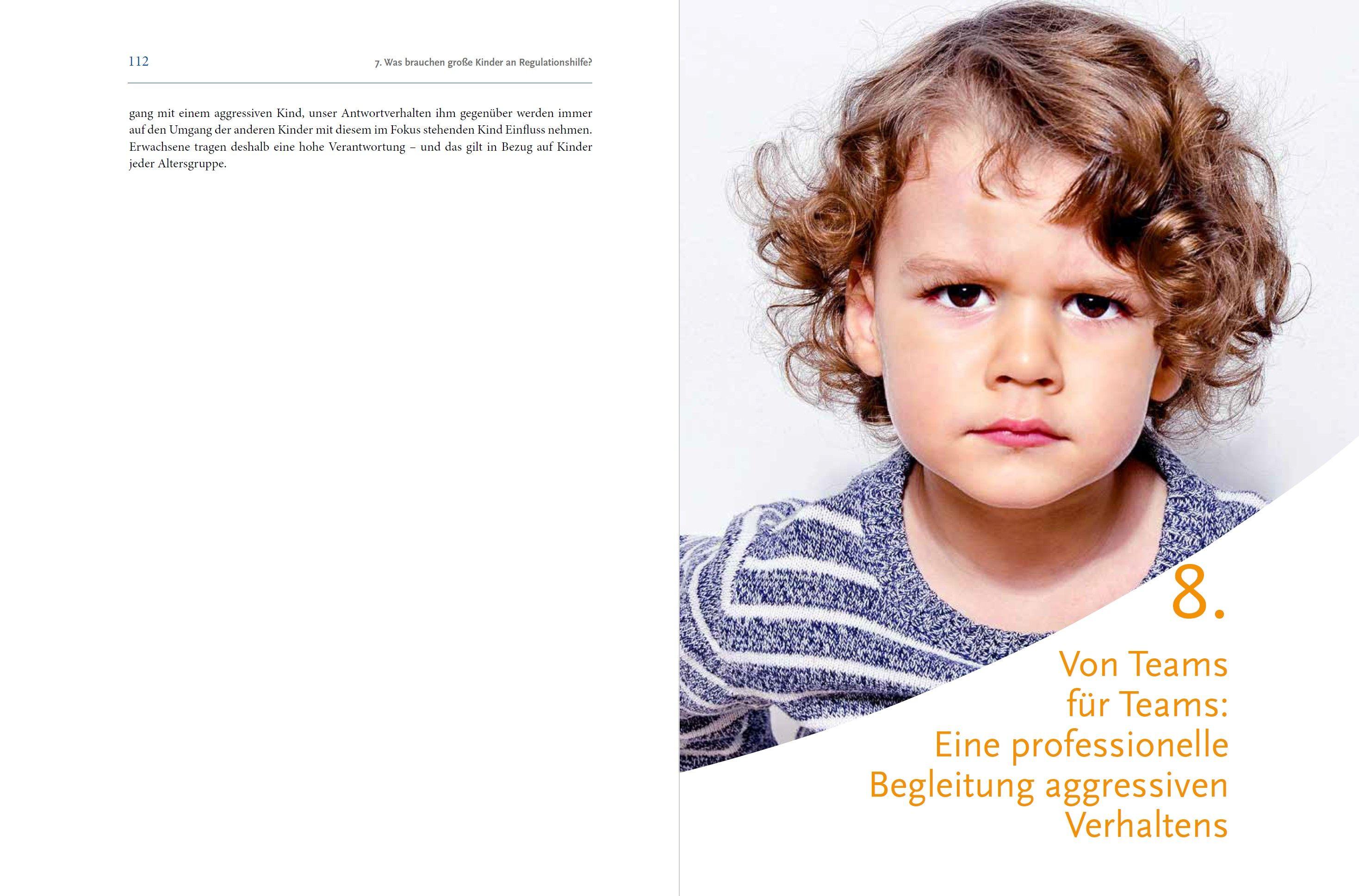 Beispielinhalt (Bild) Umgang mit aggressivem Verhalten von Kindern