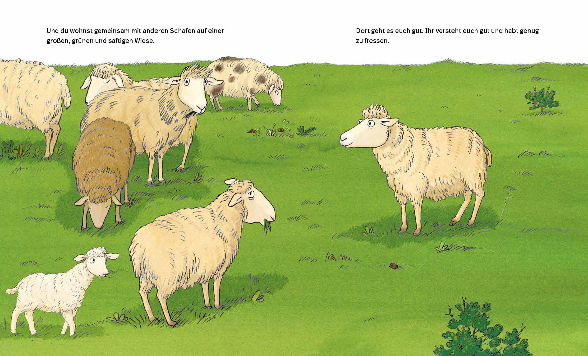 Beispielinhalt (Bild) Eine Wiese für alle