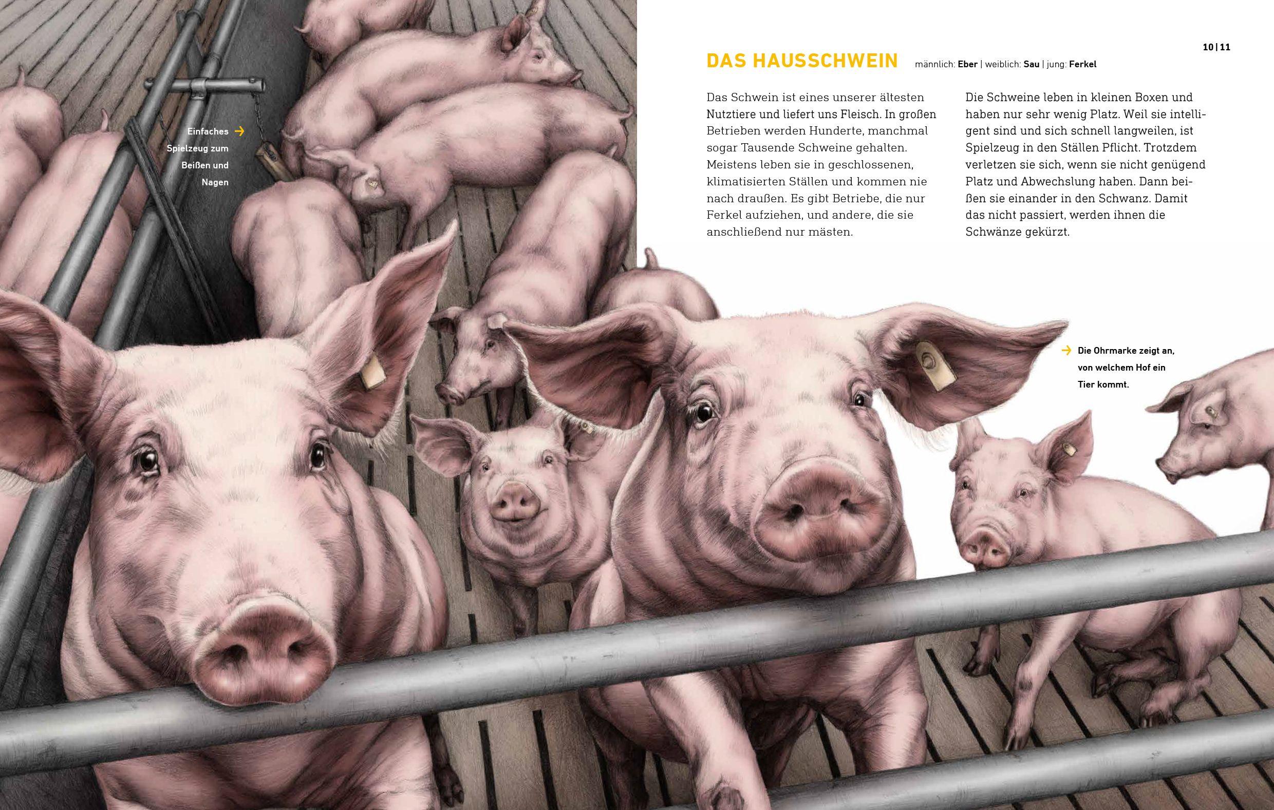 Beispielinhalt (Bild) Das wahre Leben der Bauernhoftiere