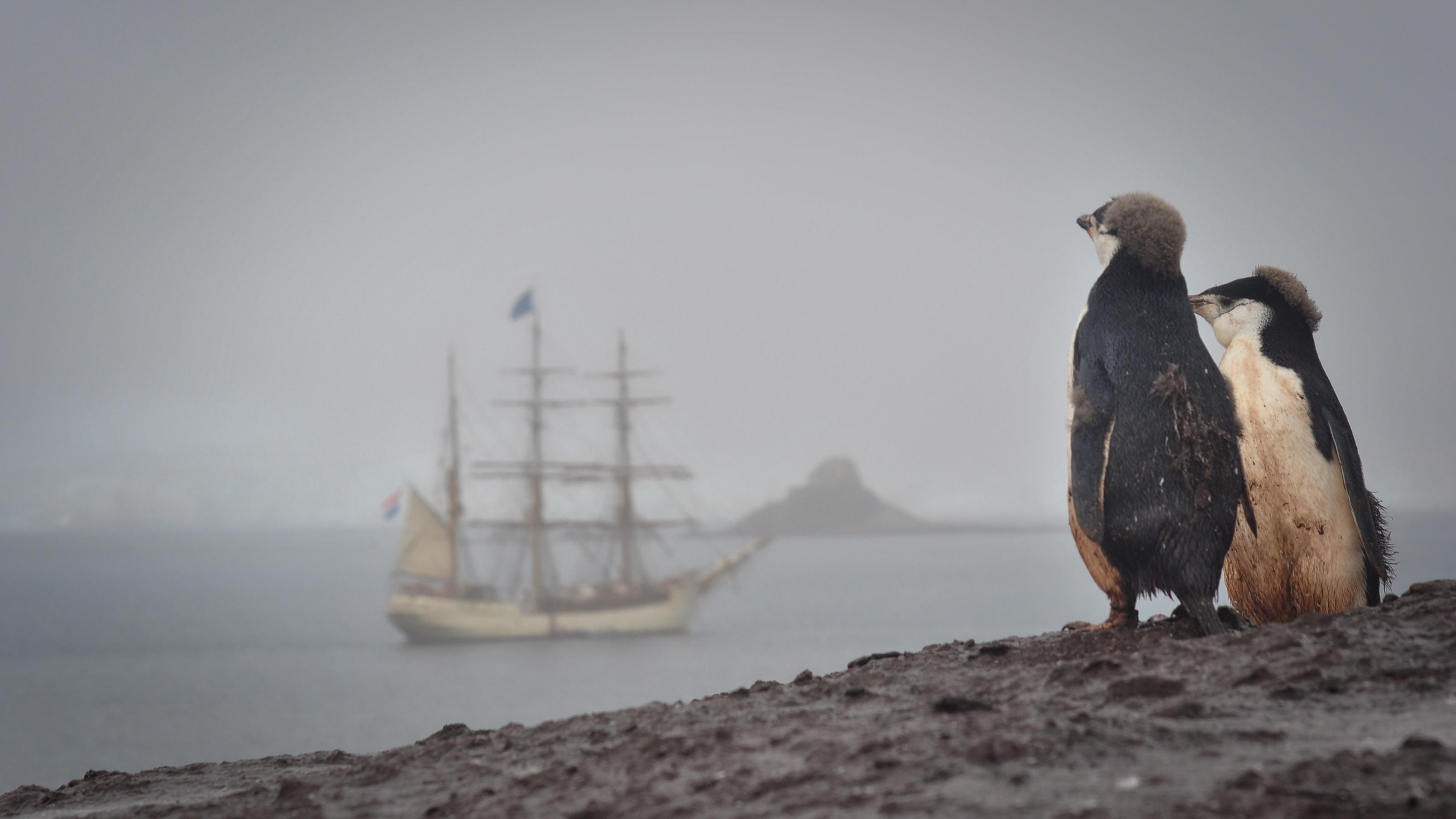 Beispielinhalt (Bild) Eis in den Segeln