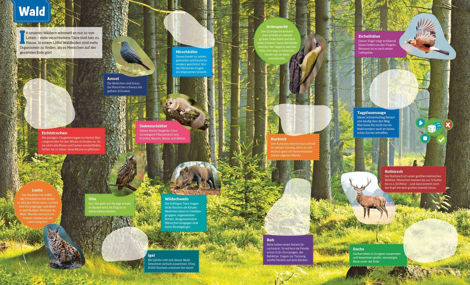 Beispielinhalt (Bild) BOOKii® WAS IST WAS Stickeratlas Tiere aus aller Welt