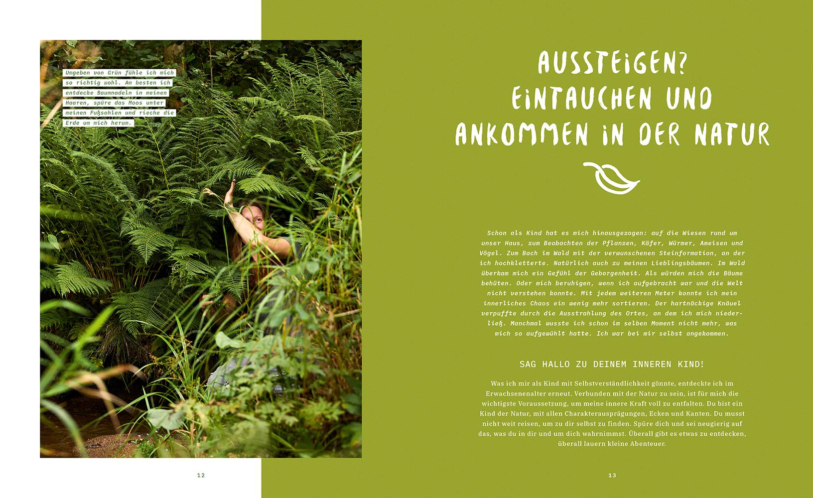 Beispielinhalt (Bild) Spür den Wald