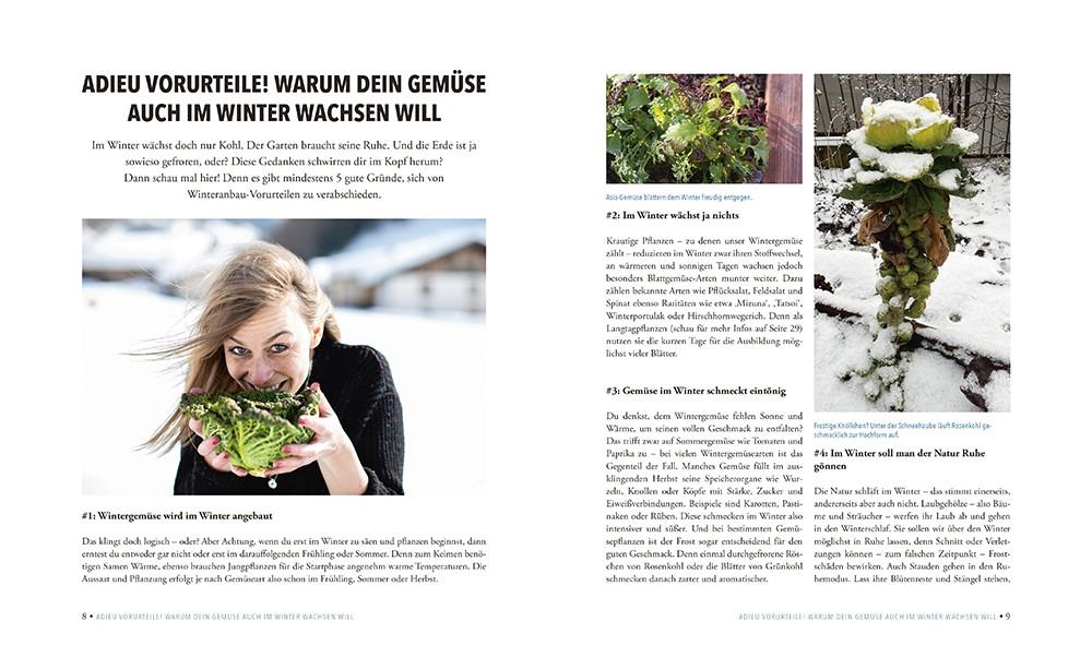 Beispielinhalt (Bild) Das sensationelle Winterhochbeet