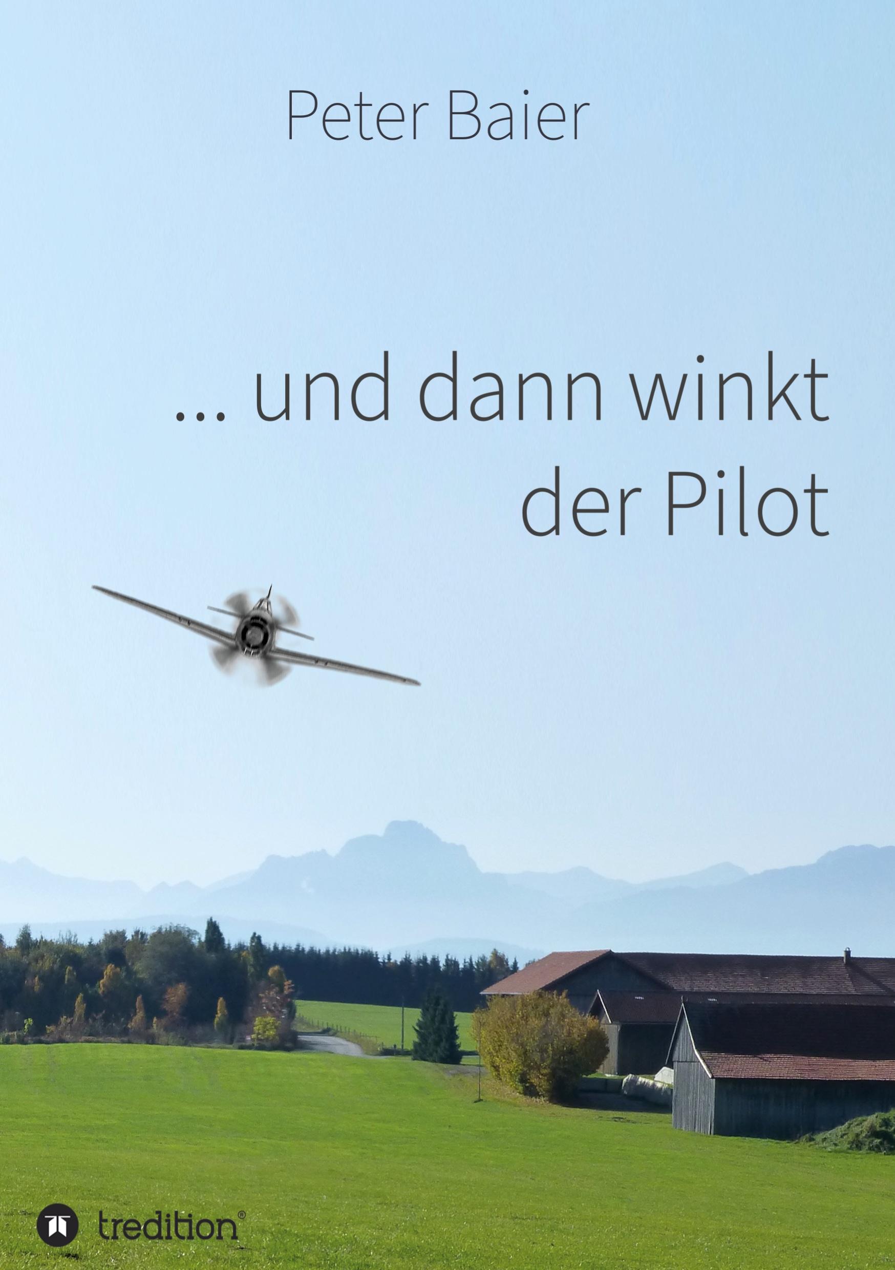 Vorderes Coverbild ... und dann winkt der Pilot