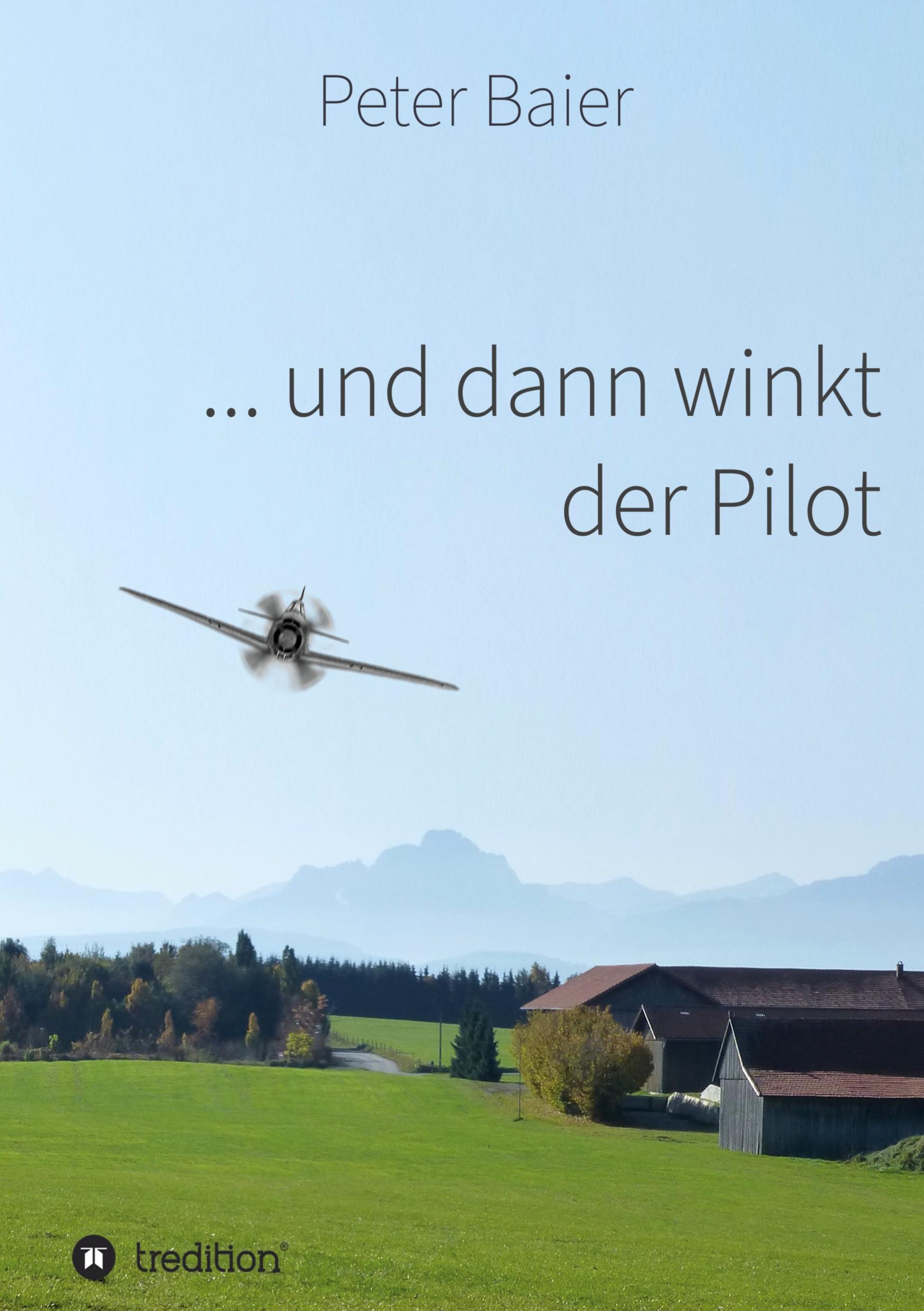 Vorderes Coverbild ... und dann winkt der Pilot