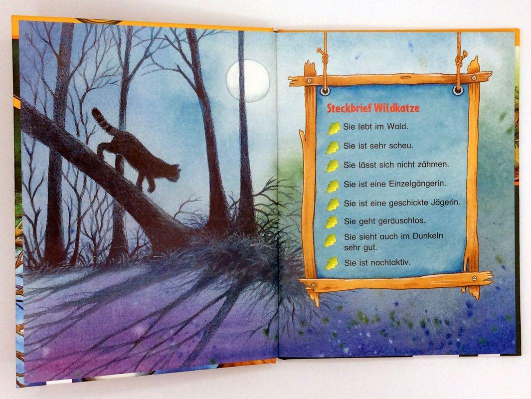 Beispielinhalt (Bild) Die Wildkatze