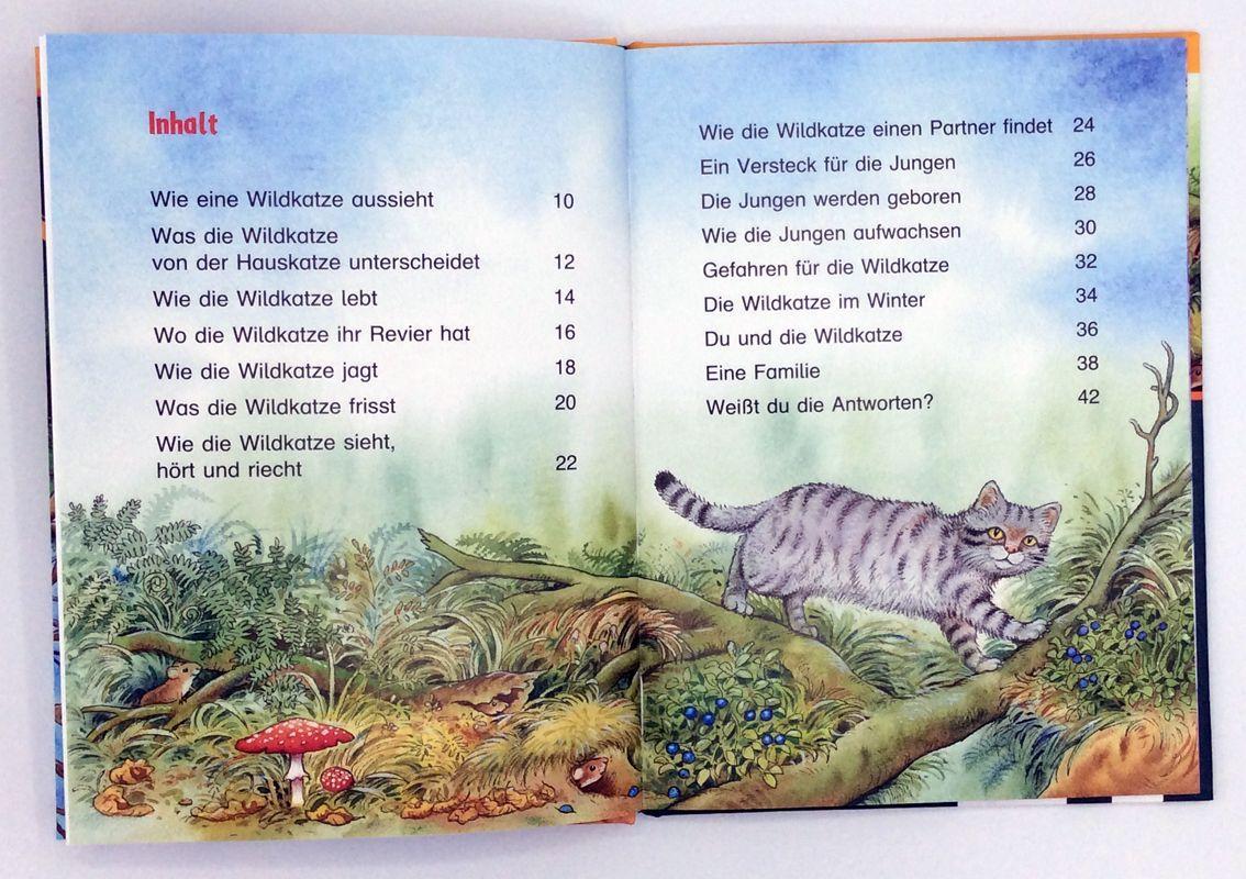 Beispielinhalt (Bild) Die Wildkatze