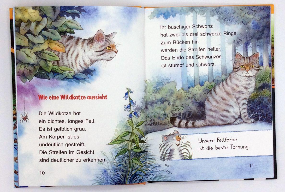 Beispielinhalt (Bild) Die Wildkatze