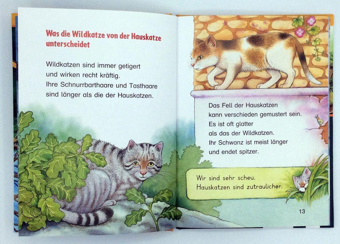 Beispielinhalt (Bild) Die Wildkatze