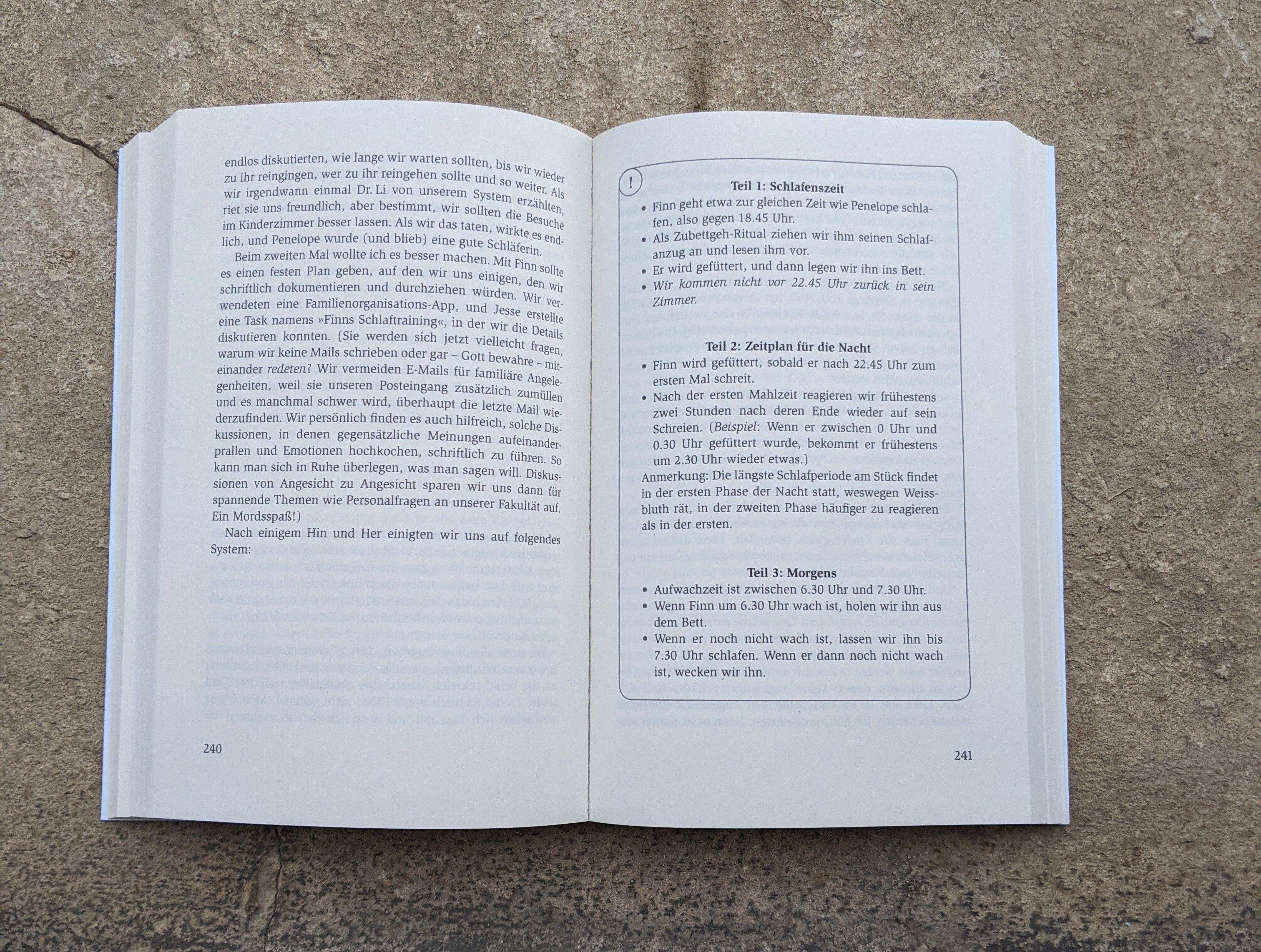 Beispielinhalt (Bild) Das einzig wahre Baby-Handbuch