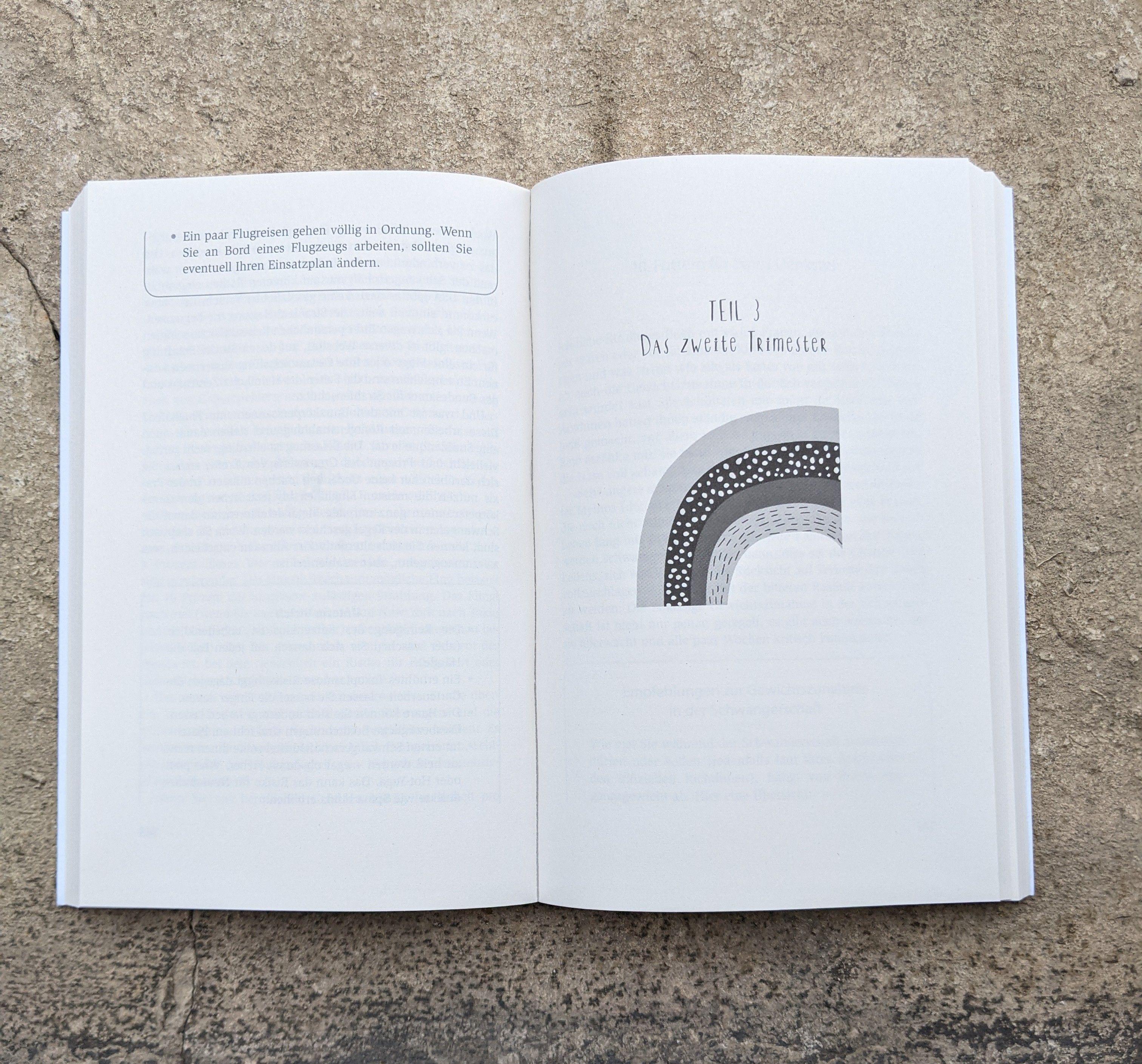 Beispielinhalt (Bild) Das einzig wahre Schwangerschafts-Handbuch