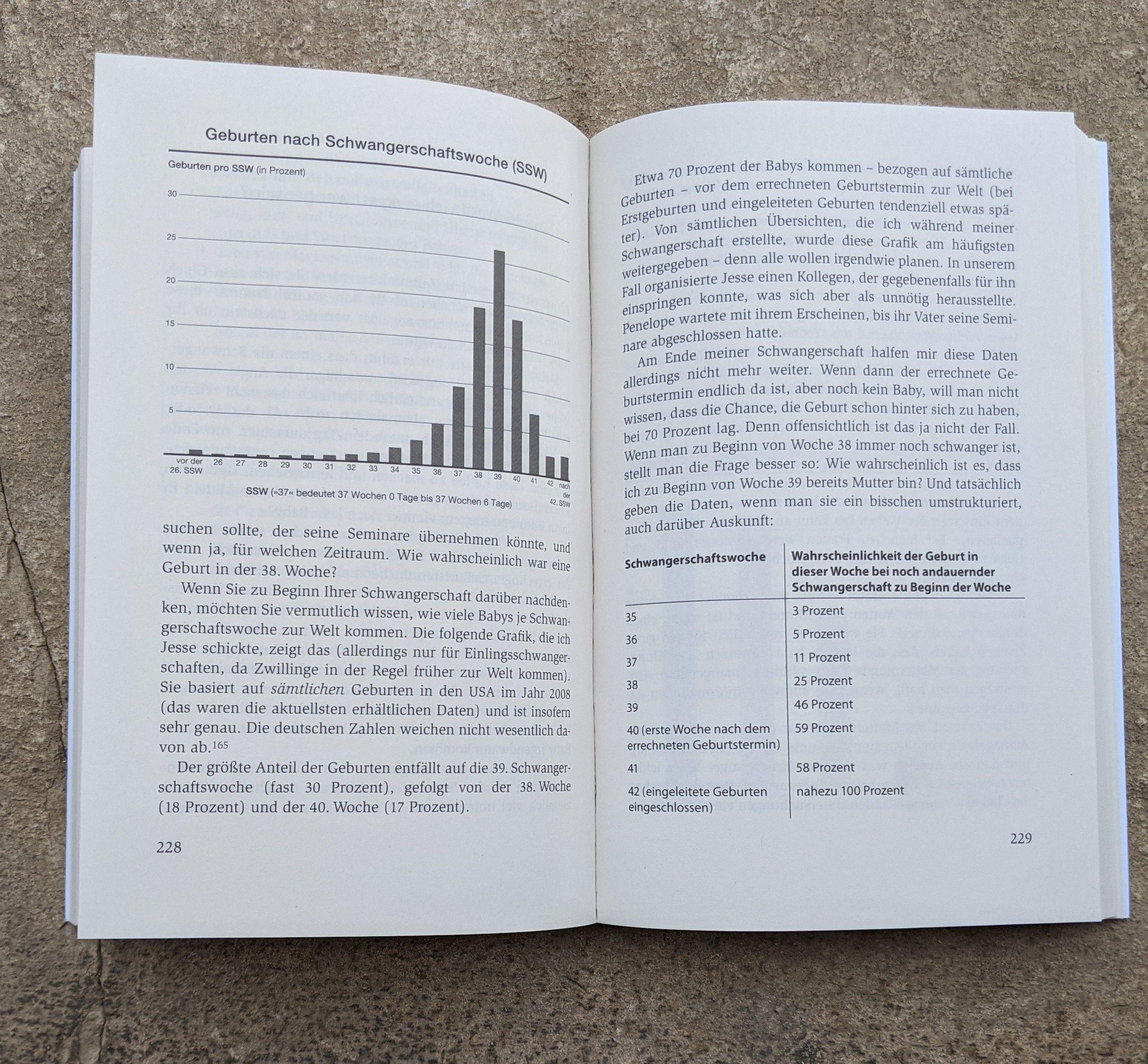 Beispielinhalt (Bild) Das einzig wahre Schwangerschafts-Handbuch