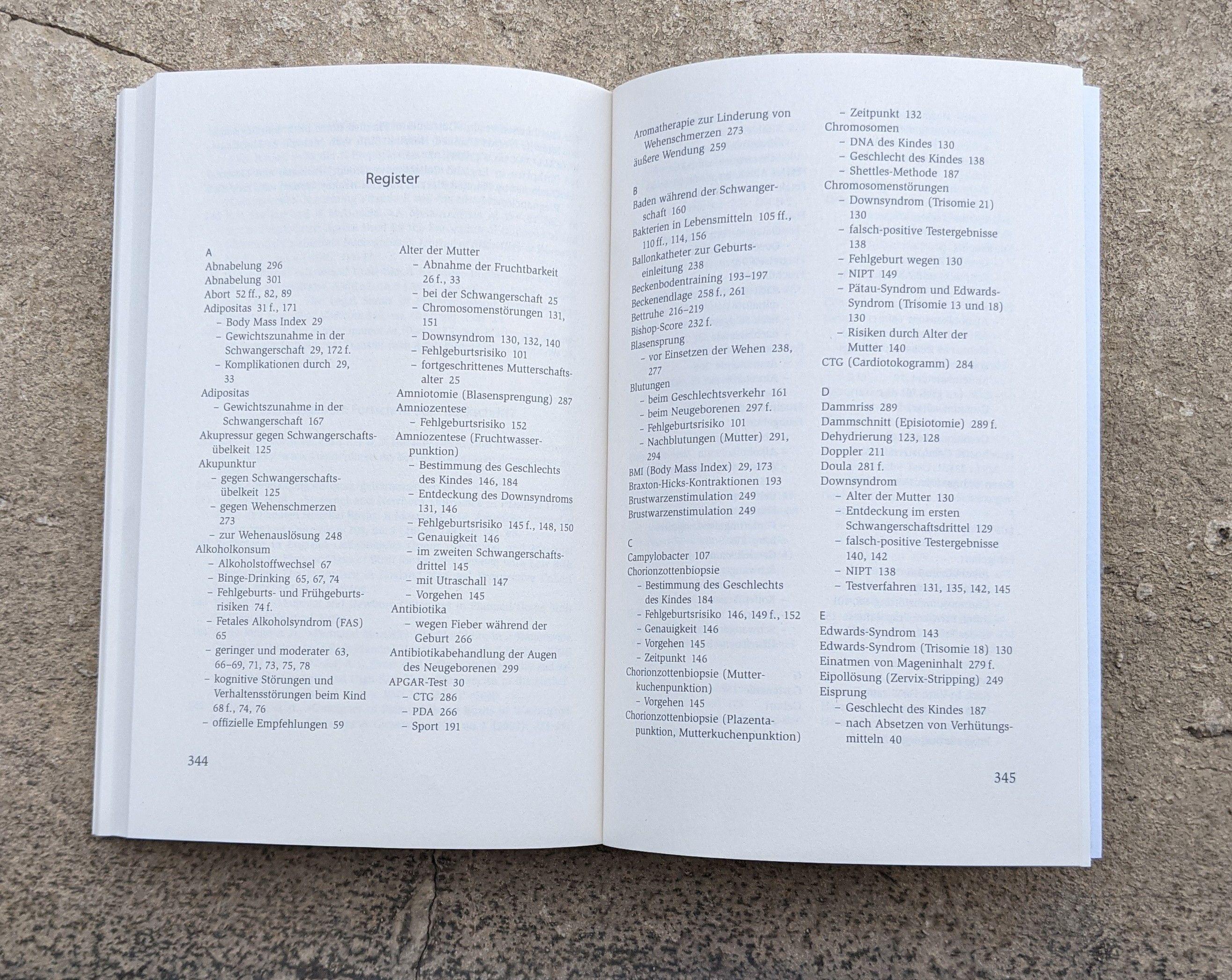 Beispielinhalt (Bild) Das einzig wahre Schwangerschafts-Handbuch