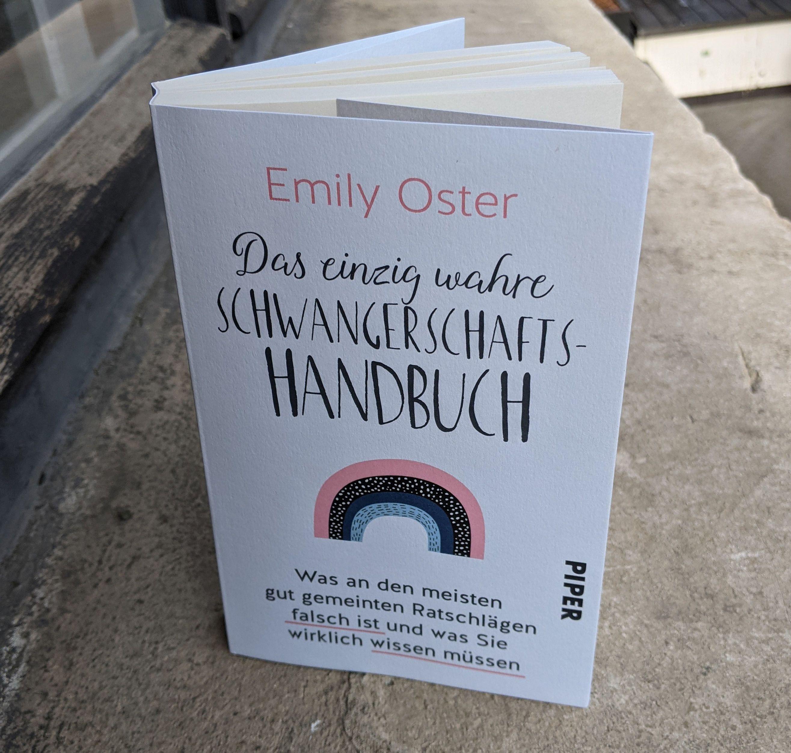 Beispielinhalt (Bild) Das einzig wahre Schwangerschafts-Handbuch