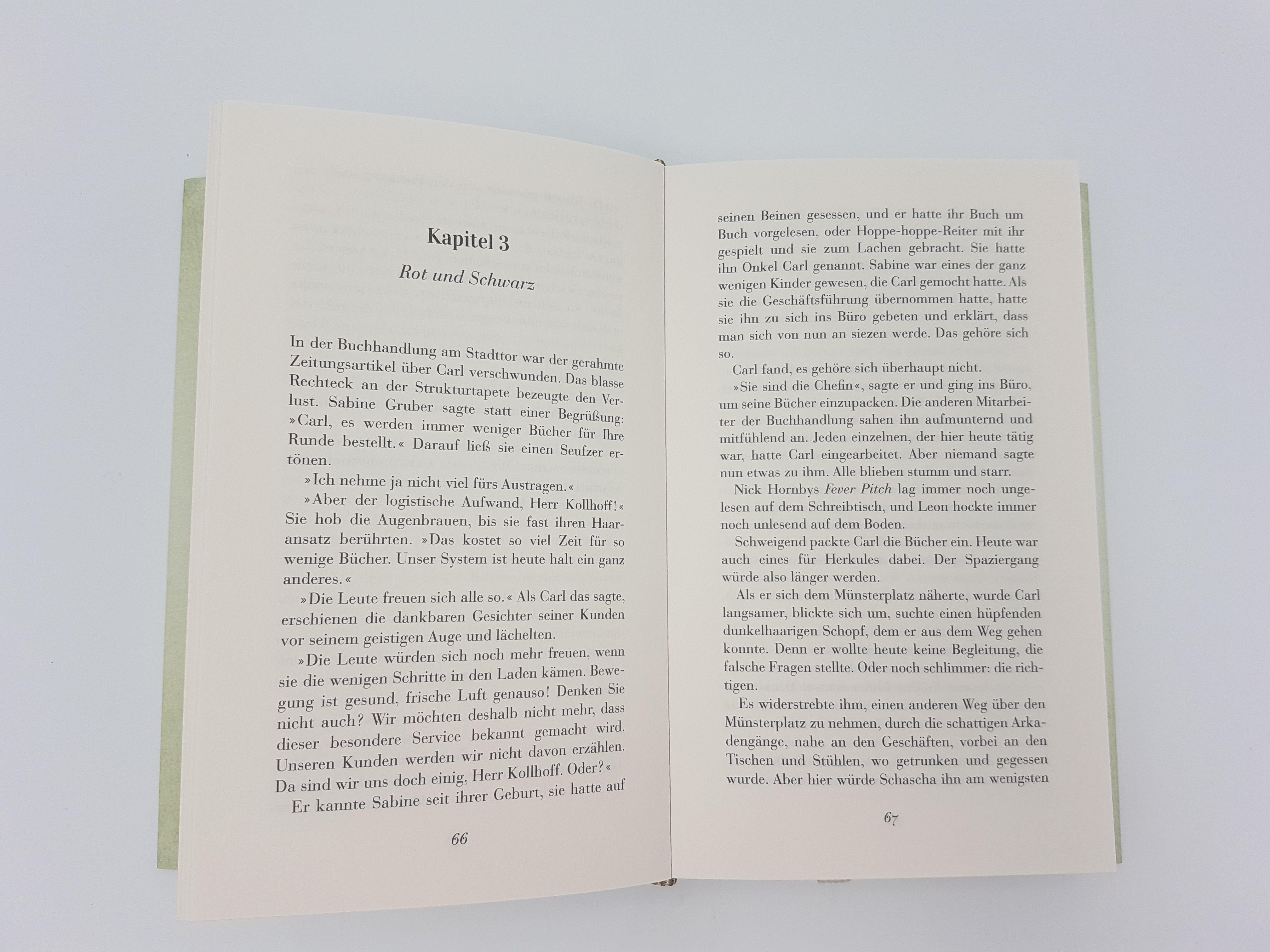 Beispielinhalt (Bild) Der Buchspazierer