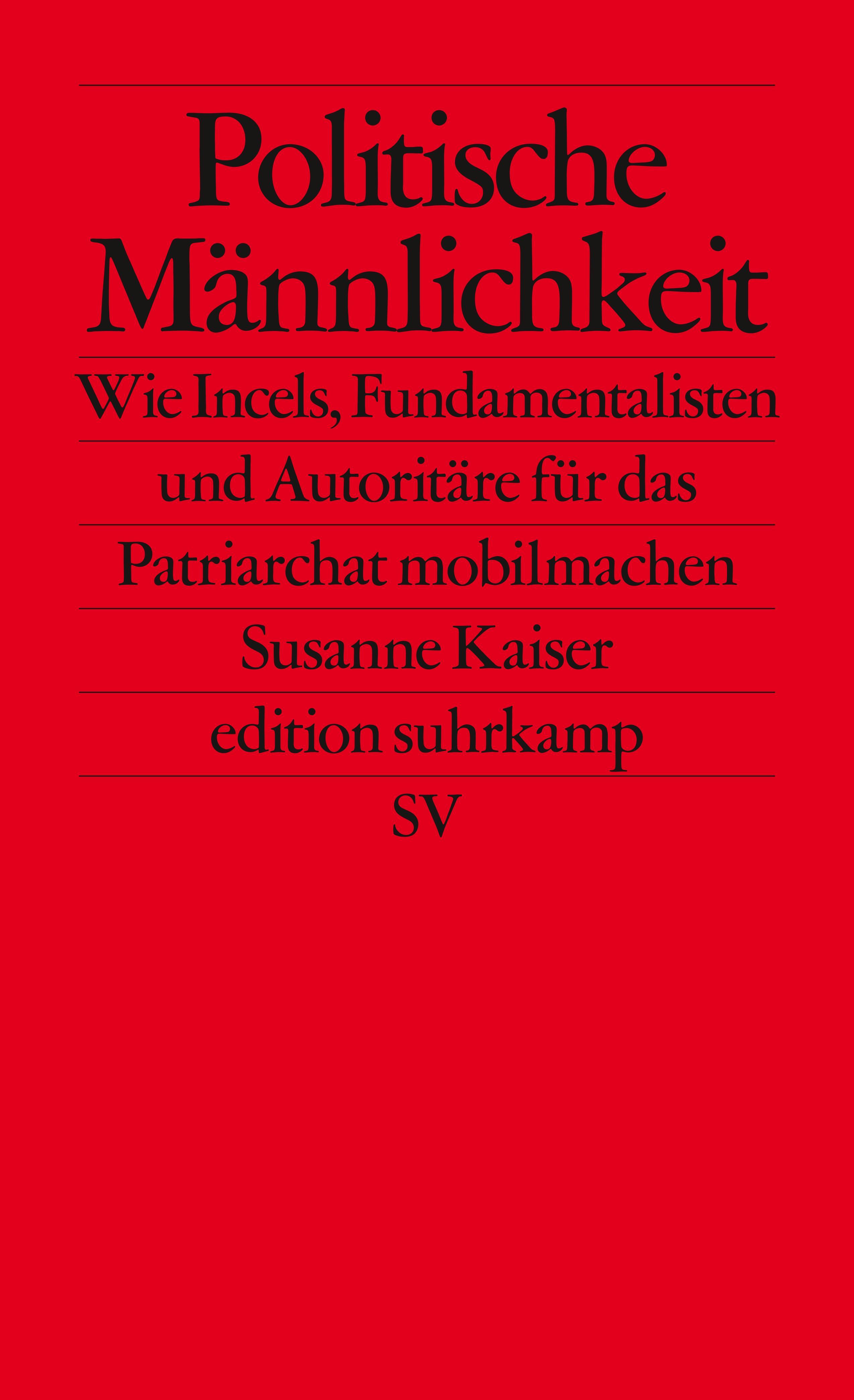 Vorderes Coverbild Politische Männlichkeit