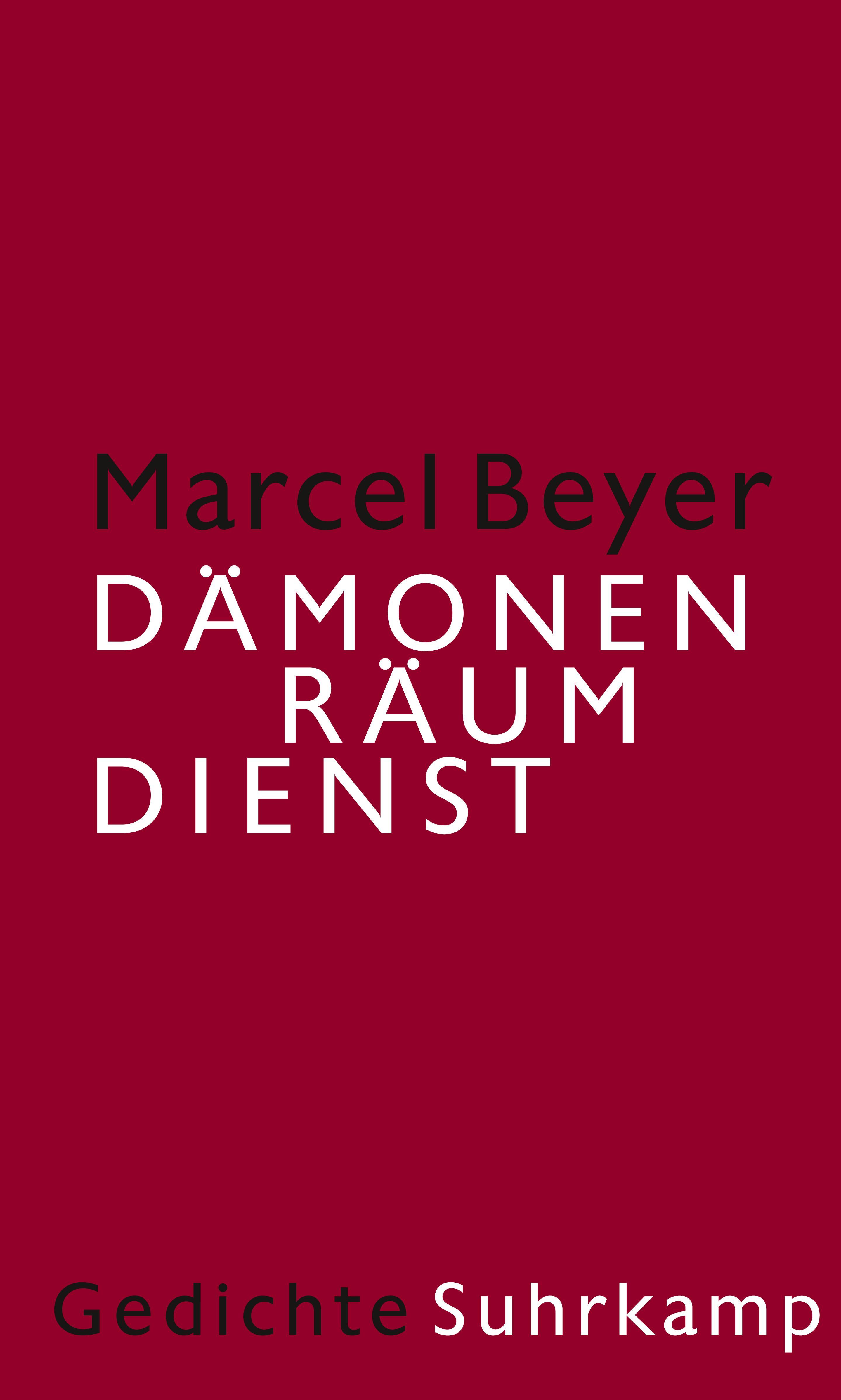 Vorderes Coverbild Dämonenräumdienst