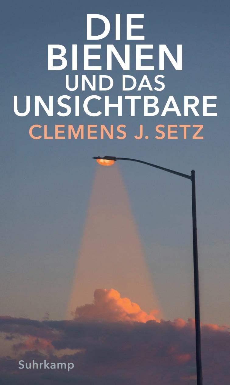 Vorderes Coverbild Die Bienen und das Unsichtbare