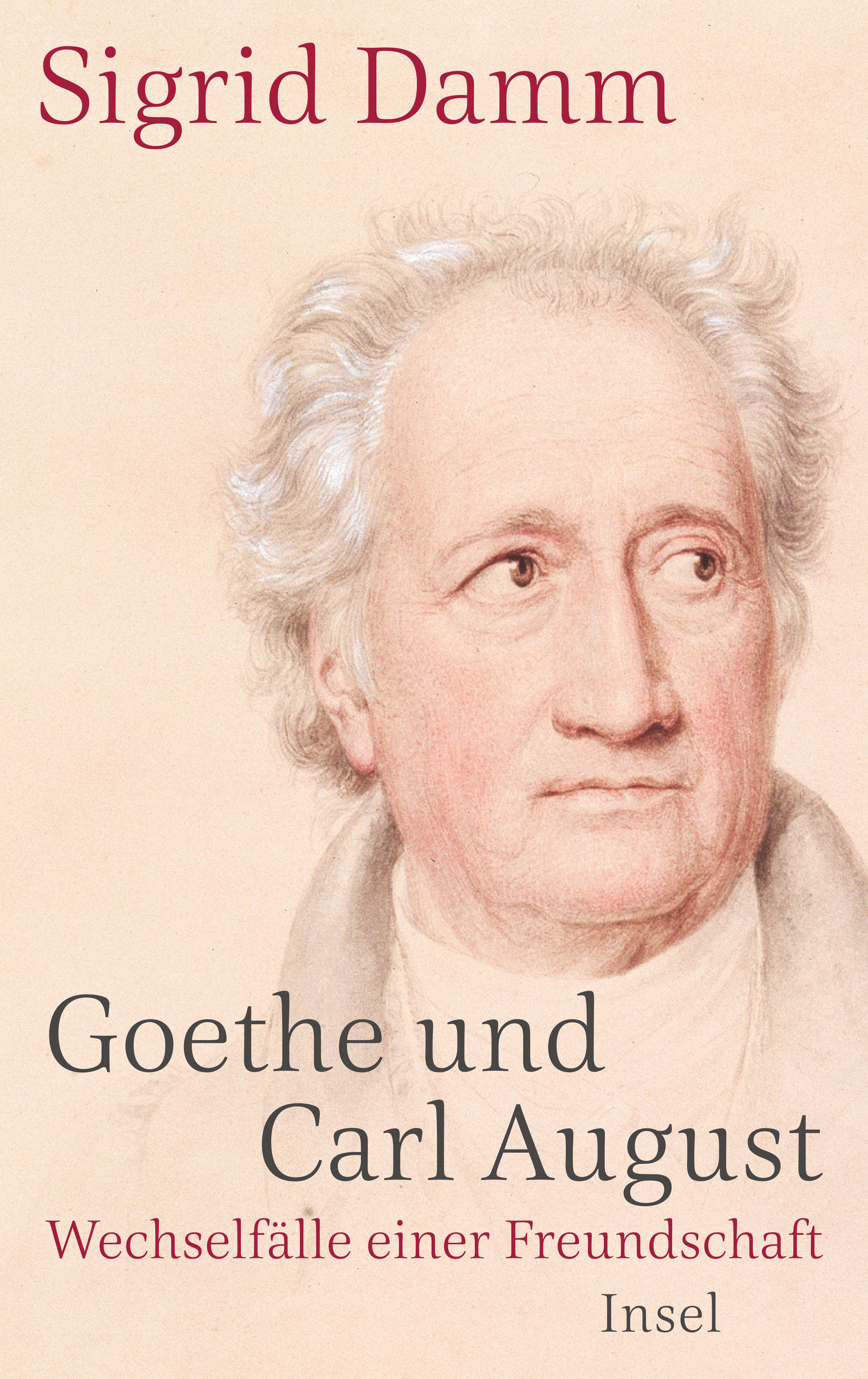 Vorderes Coverbild Goethe und Carl August