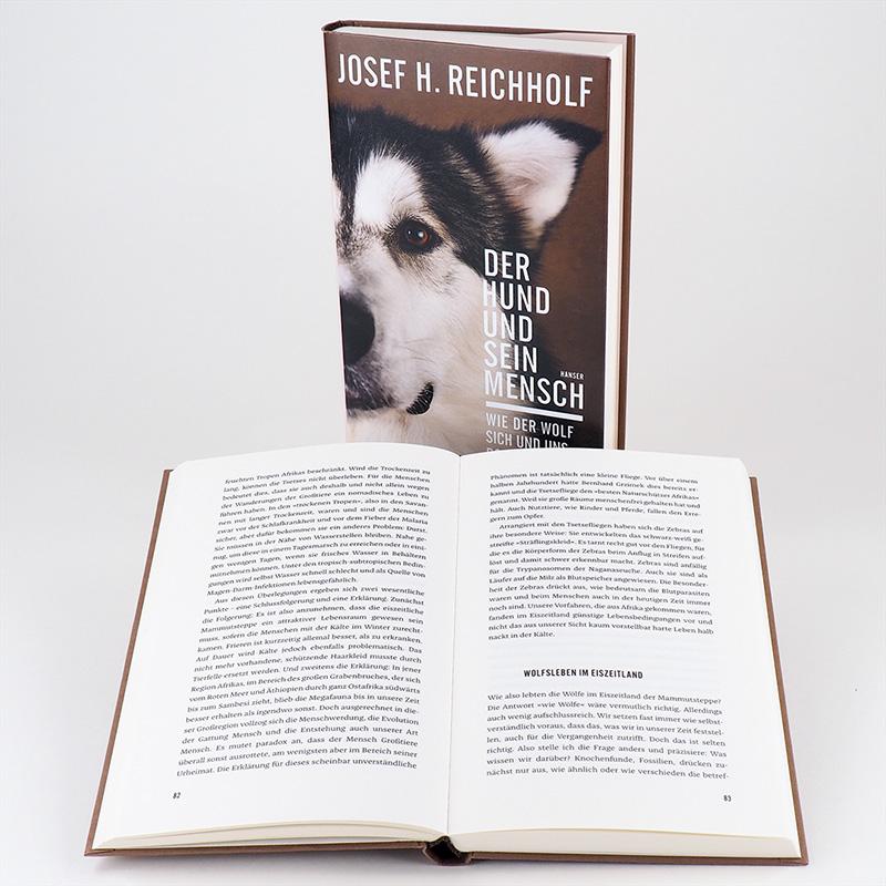 Beispielinhalt (Bild) Der Hund und sein Mensch