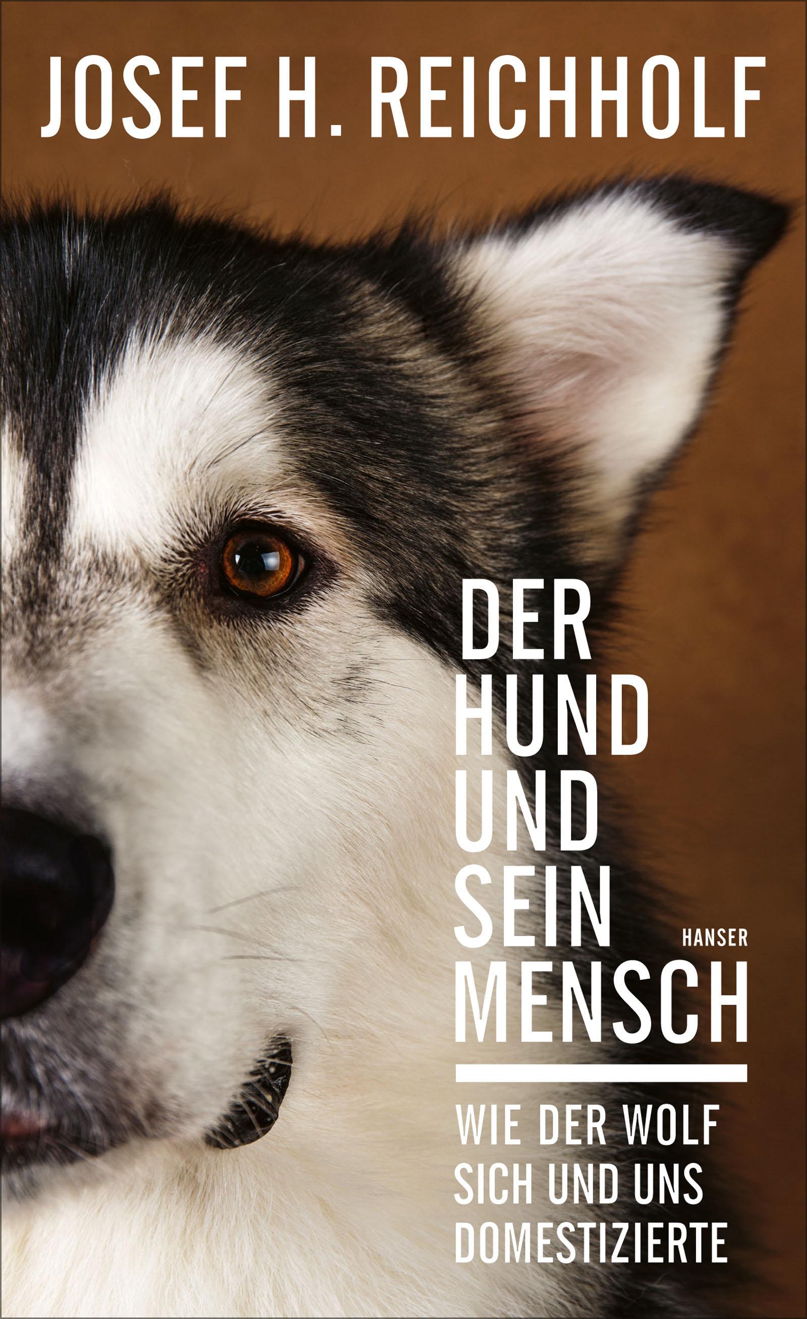 Vorderes Coverbild Der Hund und sein Mensch