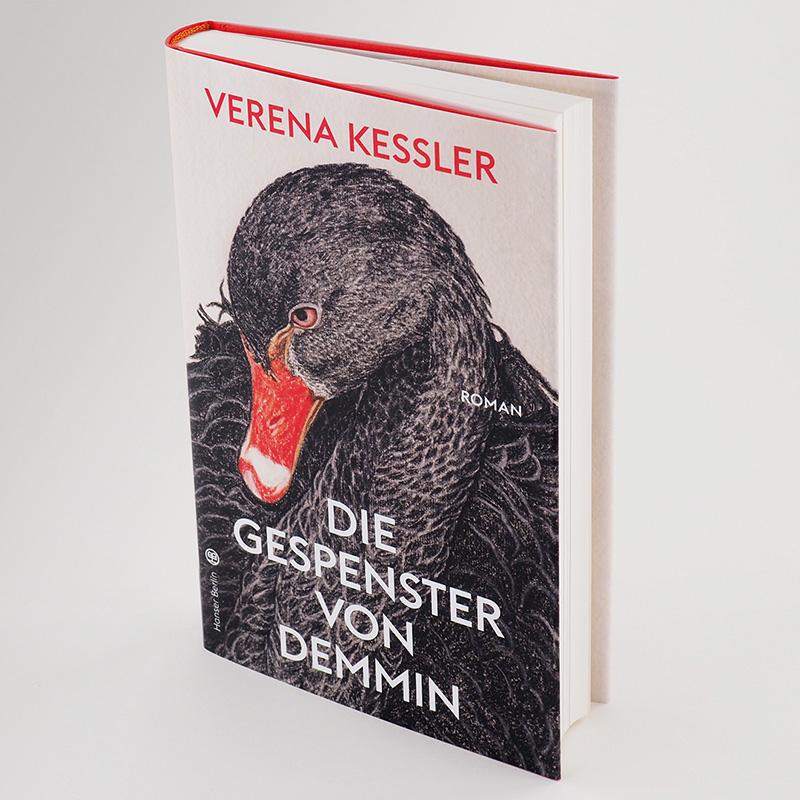 Beispielinhalt (Bild) Die Gespenster von Demmin
